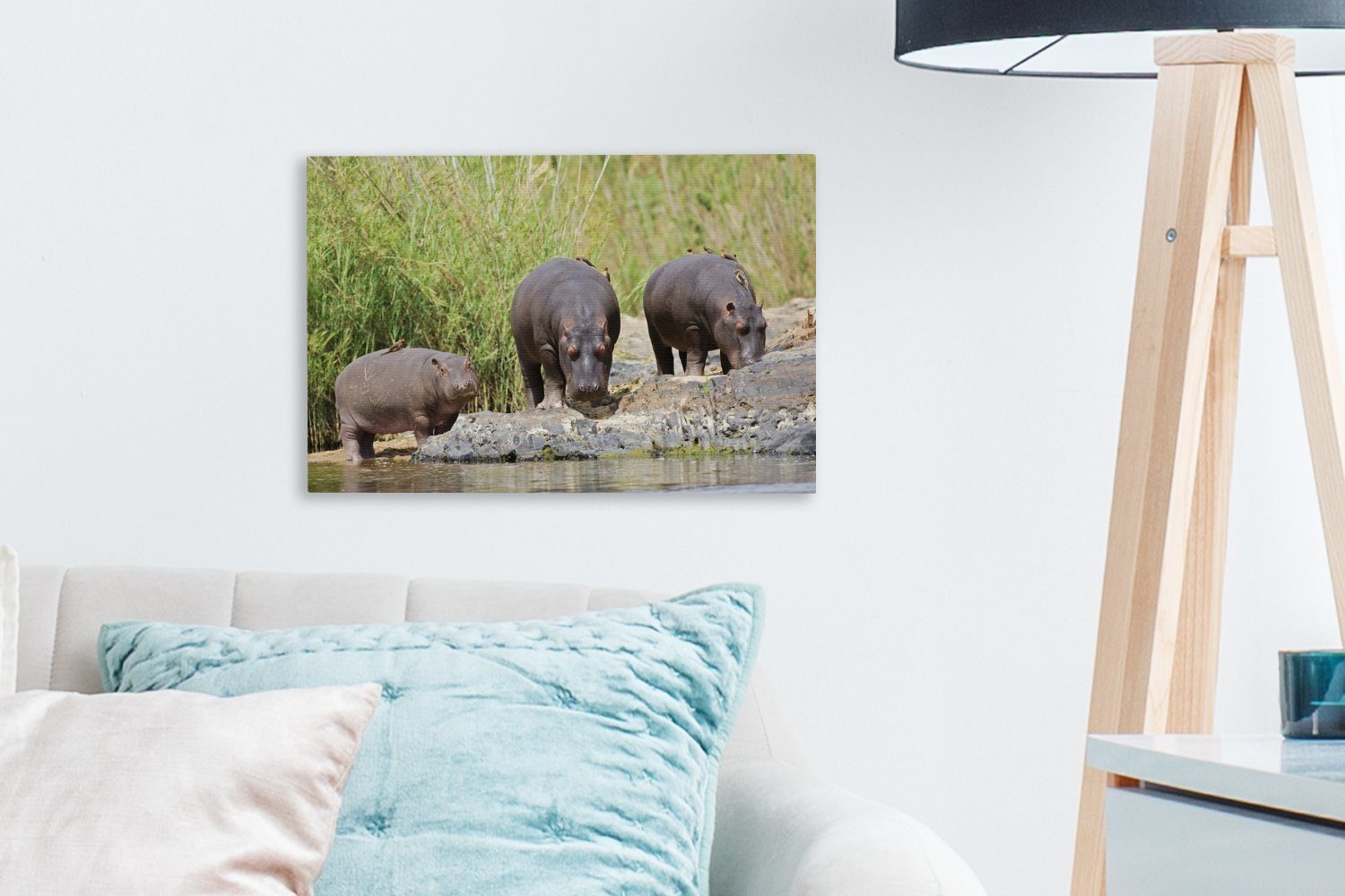 Leinwandbild Flusspferde cm - - St), Aufhängefertig, (1 OneMillionCanvasses® Wandbild 30x20 Südafrika, Leinwandbilder, Wanddeko, Wasser
