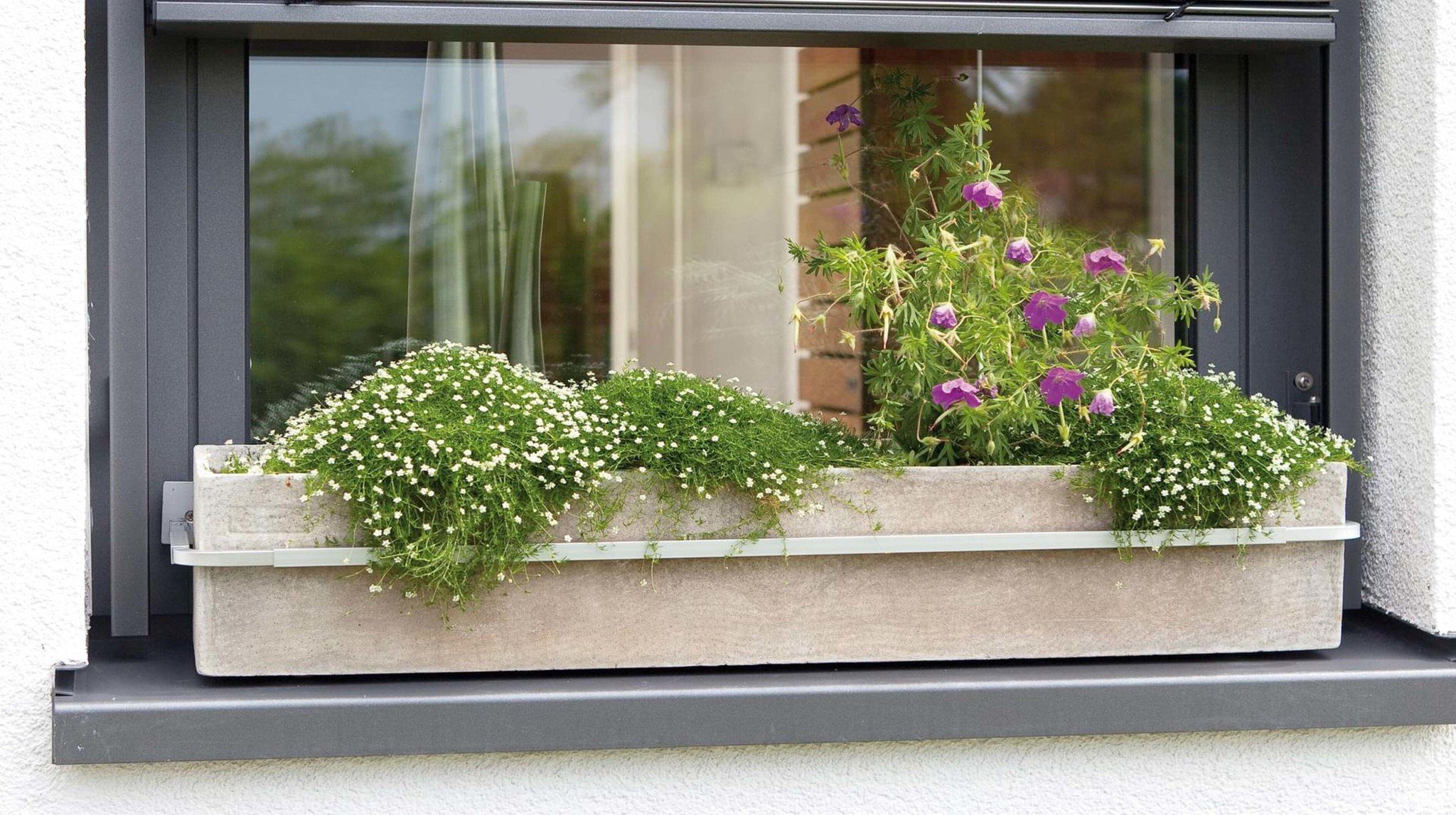 hecht international Blumenkastenhalter günstig online kaufen