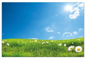 Wallario Wandfolie, Sommerwiese - Weiße Gänseblümchen vor blauem Himmel, wasserresistent, geeignet für Bad und Dusche