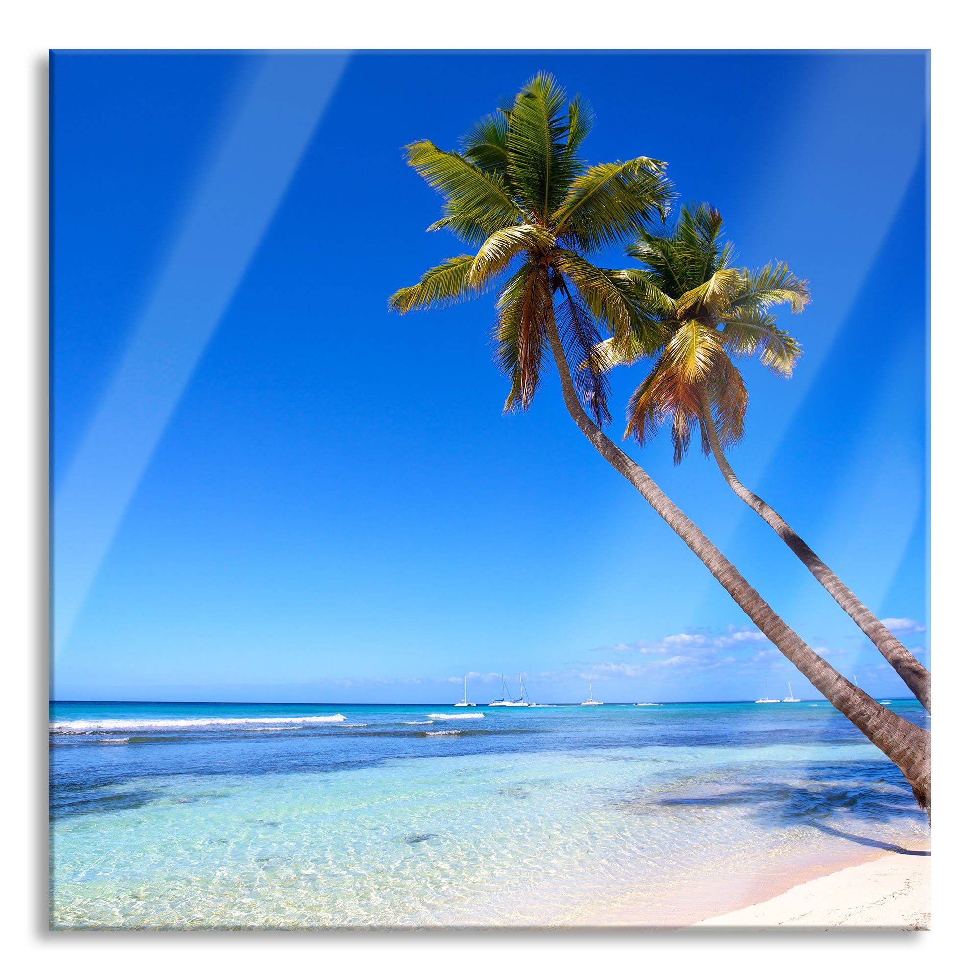 Glasbild Palmen am Strand