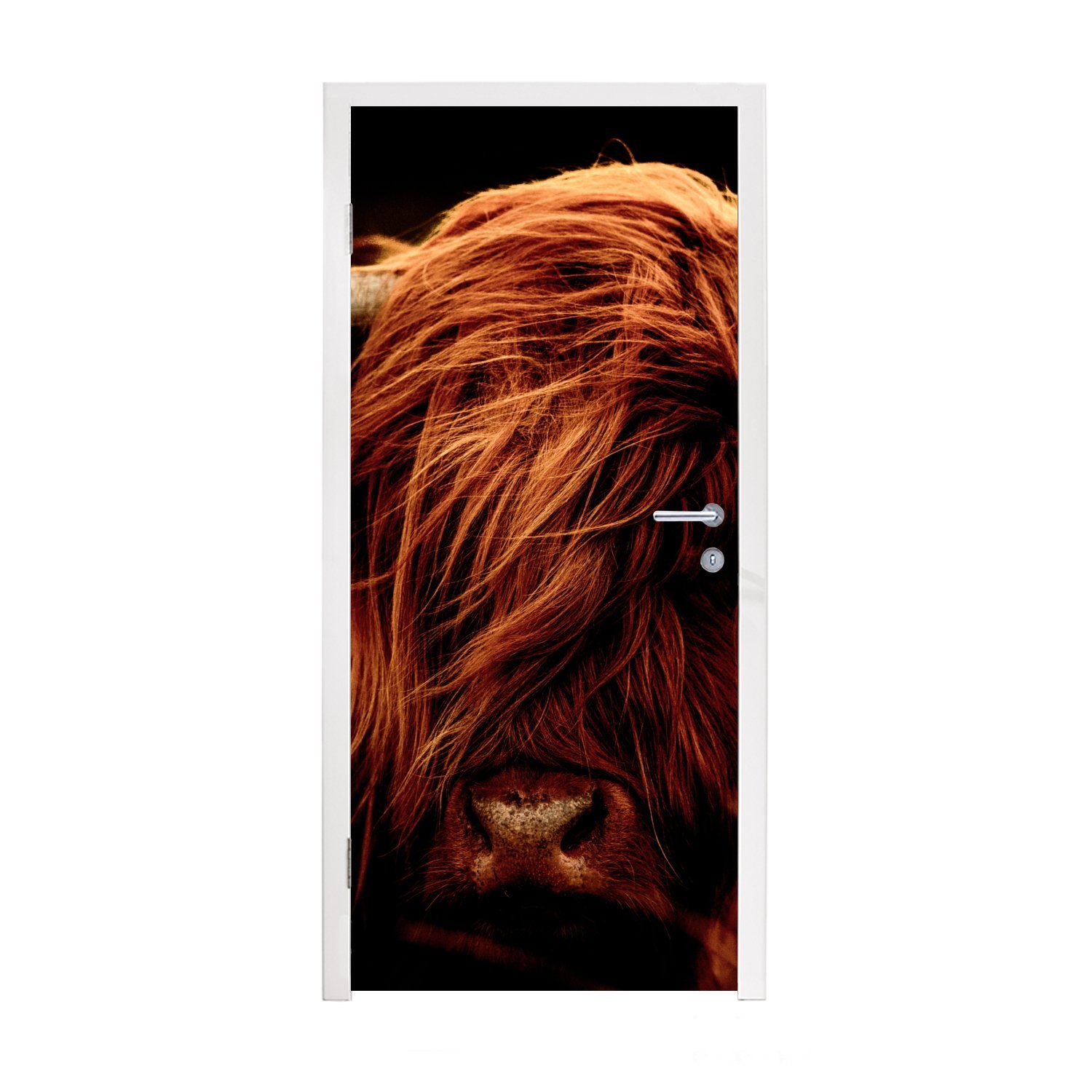 MuchoWow Türtapete Schottischer Highlander - Kuh - Hörner - Porträt - Tiere, Matt, bedruckt, (1 St), Fototapete für Tür, Türaufkleber, 75x205 cm