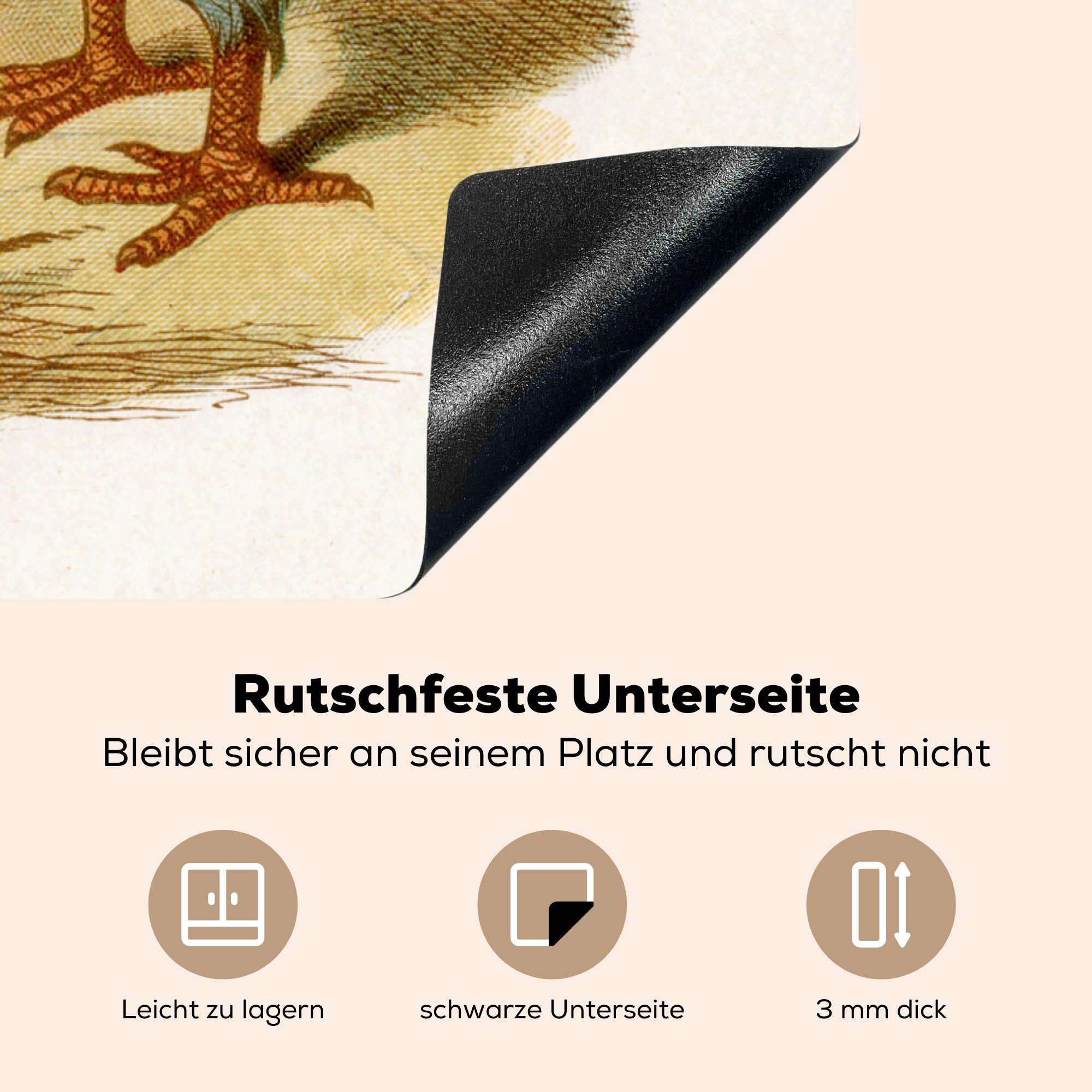 MuchoWow und cm, Ceranfeldabdeckung, Vintage-Illustration Herdblende-/Abdeckplatte der Dodo, Alice (1 Arbeitsplatte für Vinyl, küche tlg), 78x78
