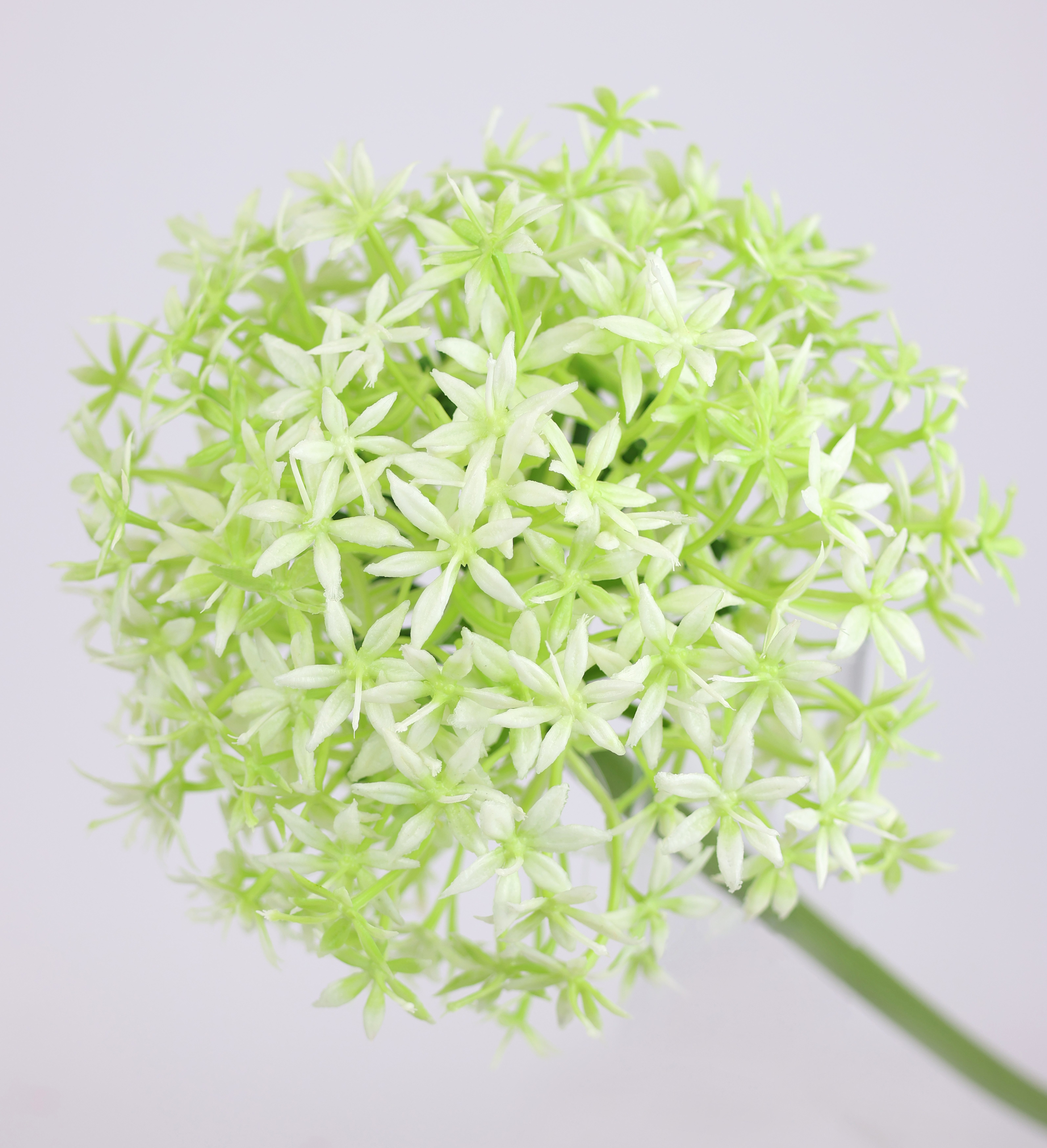 Kunstblume Allium Zierlauch, I.GE.A., Höhe 80 cm, Stielblume künstliche Blu günstig online kaufen