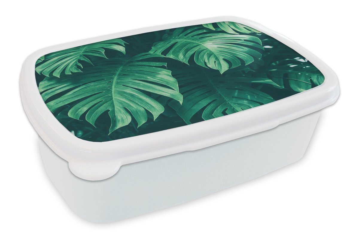 MuchoWow Lunchbox Monstera - Blätter - Pflanzen - Dschungel - Natur, Kunststoff, (2-tlg), Brotbox für Kinder und Erwachsene, Brotdose, für Jungs und Mädchen weiß