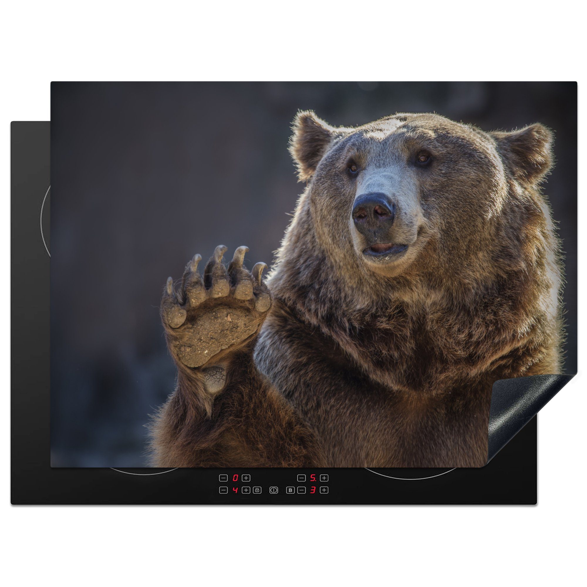 MuchoWow Herdblende-/Abdeckplatte Grizzlybär - Tiere - Winken, Vinyl, (1 tlg), 71x52 cm, Induktionskochfeld Schutz für die küche, Ceranfeldabdeckung