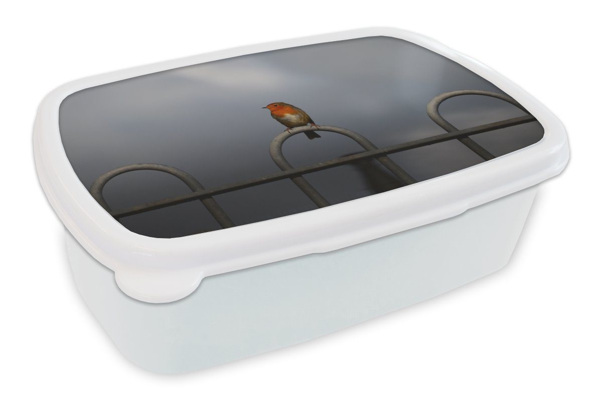 MuchoWow Lunchbox Rotkehlchen - Vogel - Zaun, Kunststoff, (2-tlg), Brotbox für Kinder und Erwachsene, Brotdose, für Jungs und Mädchen weiß