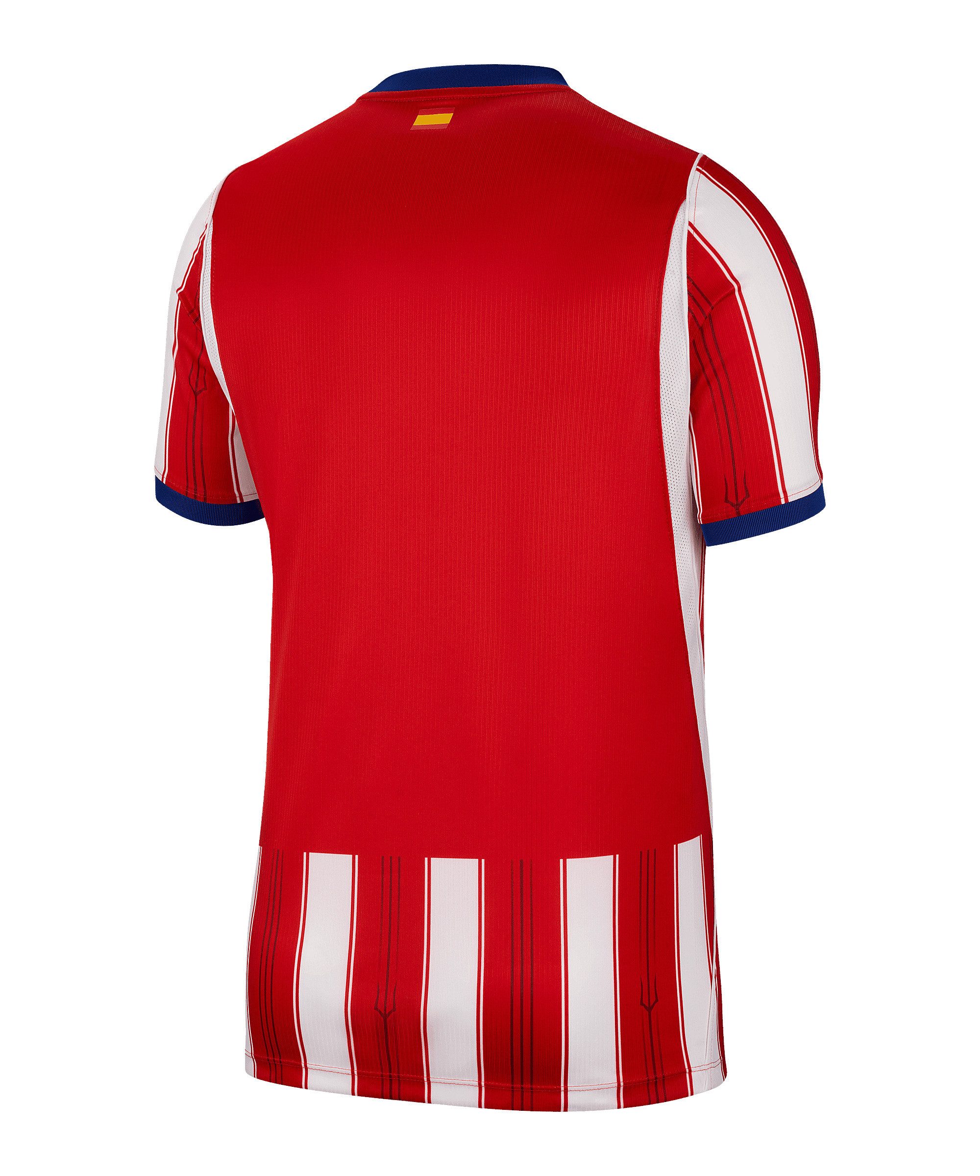 Nike Fußballtrikot Nike Performance Primera Division