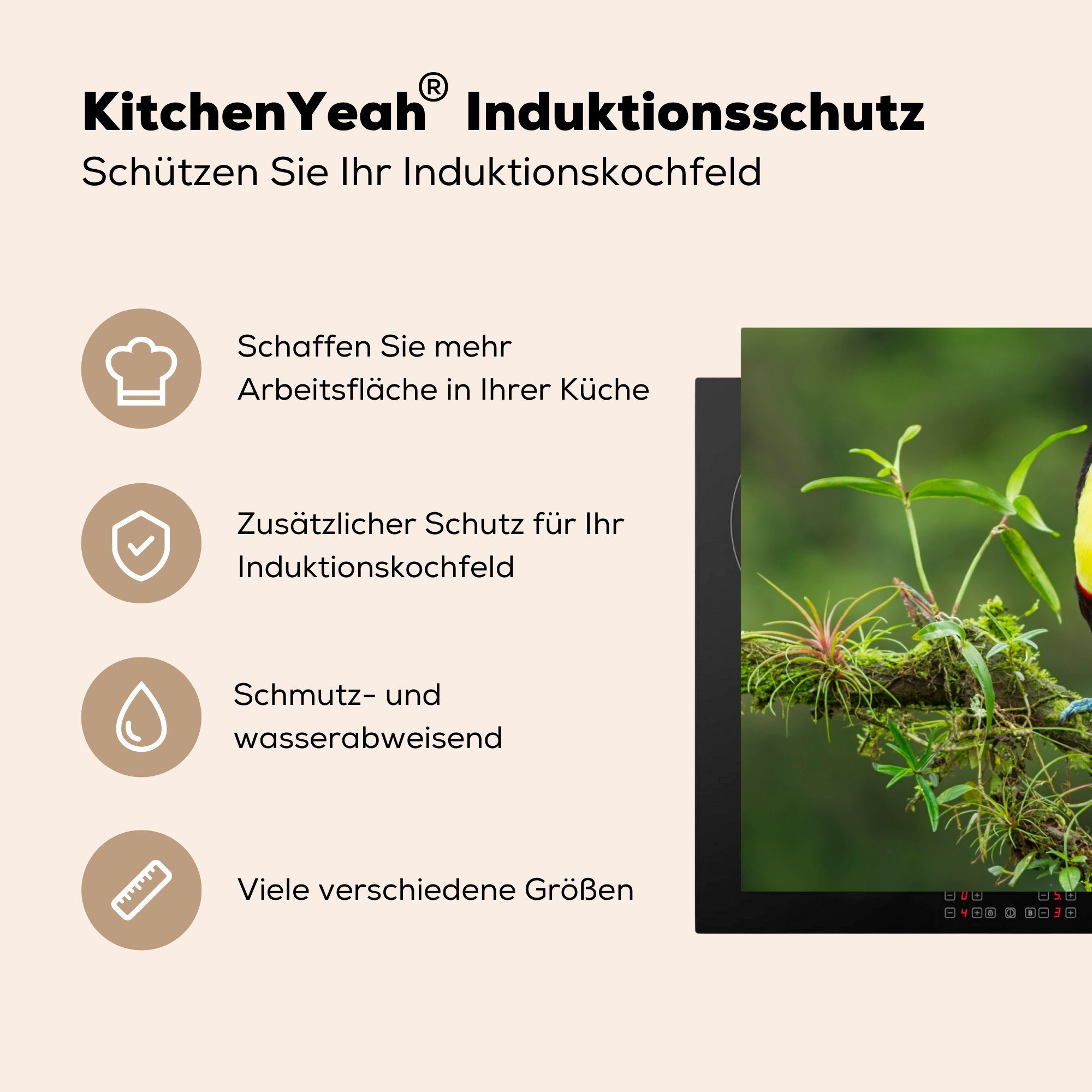 MuchoWow Herdblende-/Abdeckplatte Tukan im 81x52 Induktionskochfeld Ceranfeldabdeckung Regenwald küche, von cm, für Vinyl, tlg), Schutz Costa (1 die Rica