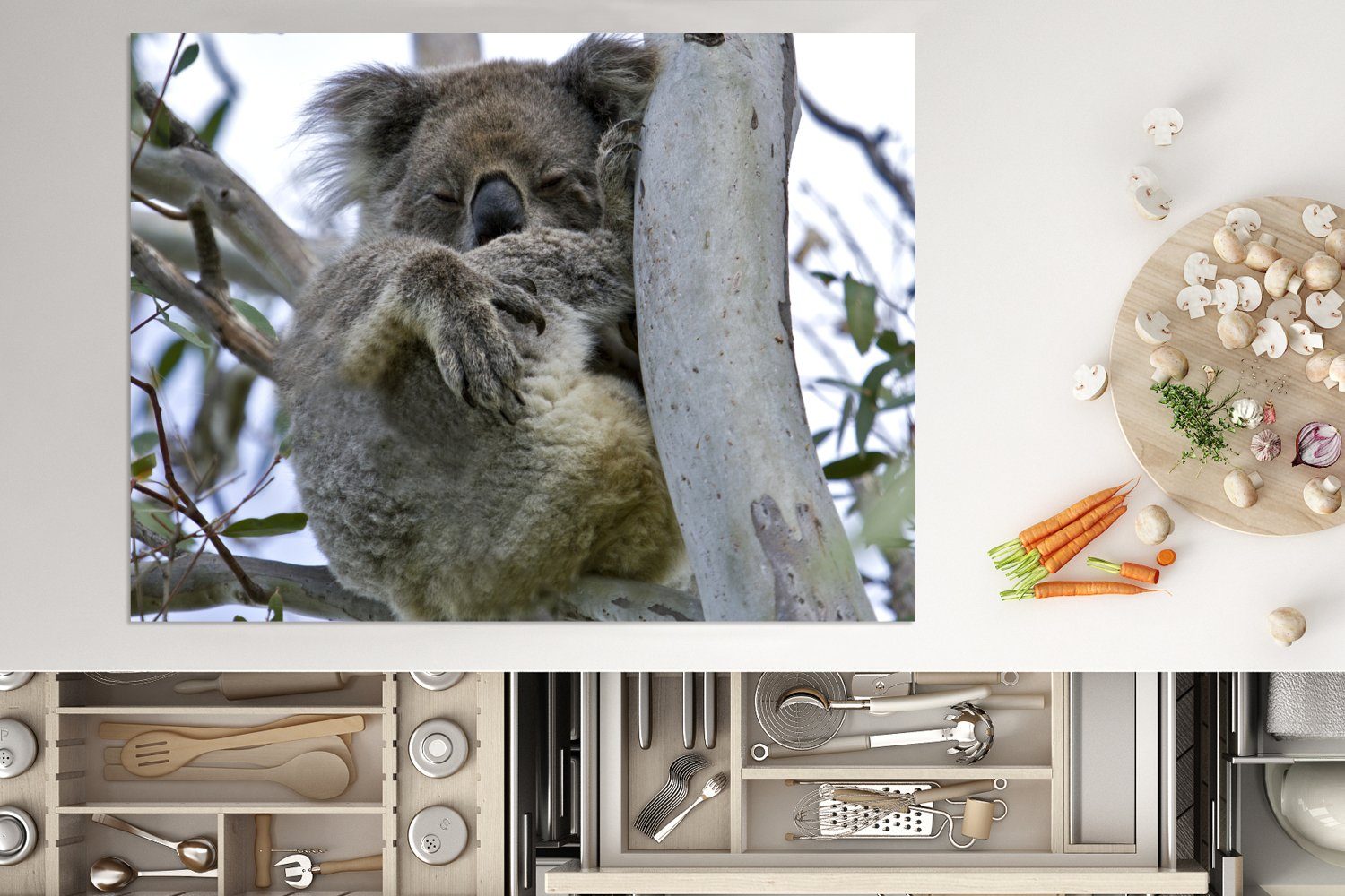 MuchoWow Herdblende-/Abdeckplatte Koala - nutzbar, Mobile 70x52 (1 Vinyl, Ceranfeldabdeckung Tier, cm, tlg), - Baum Arbeitsfläche