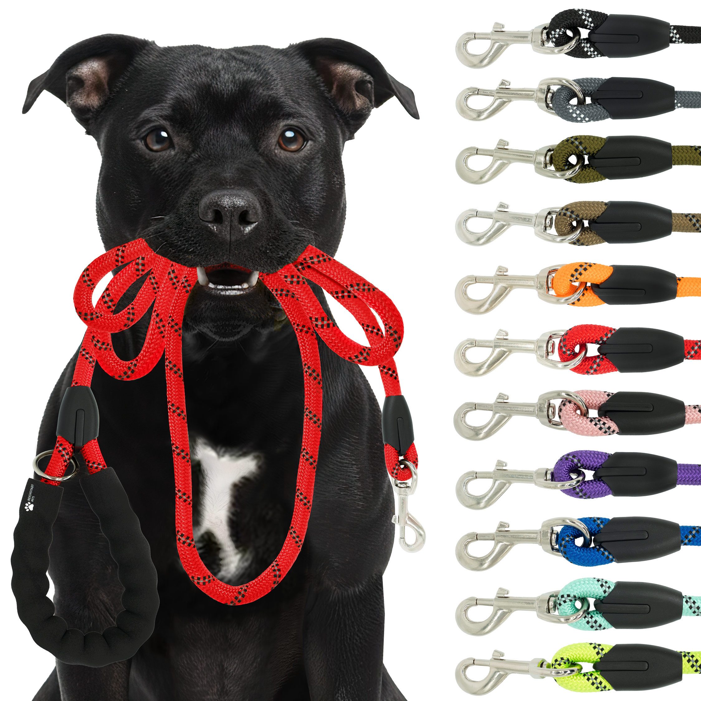 Reichstadt Hundeleine RS Pets Führleine Nylon 25RSP084, Nylon, Ergonomischer EVA-gepolsterter Griff für Blasenschutz von Reichstadt