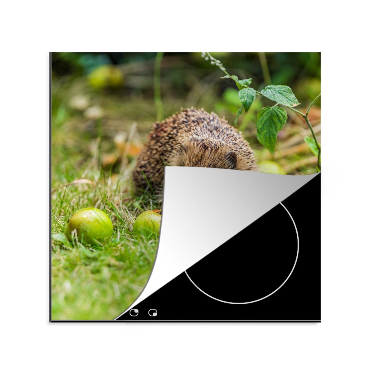 MuchoWow Herdblende-/Abdeckplatte Igel - Apfel - Wald, Vinyl, (1 tlg), 78x78 cm, Ceranfeldabdeckung, Arbeitsplatte für küche