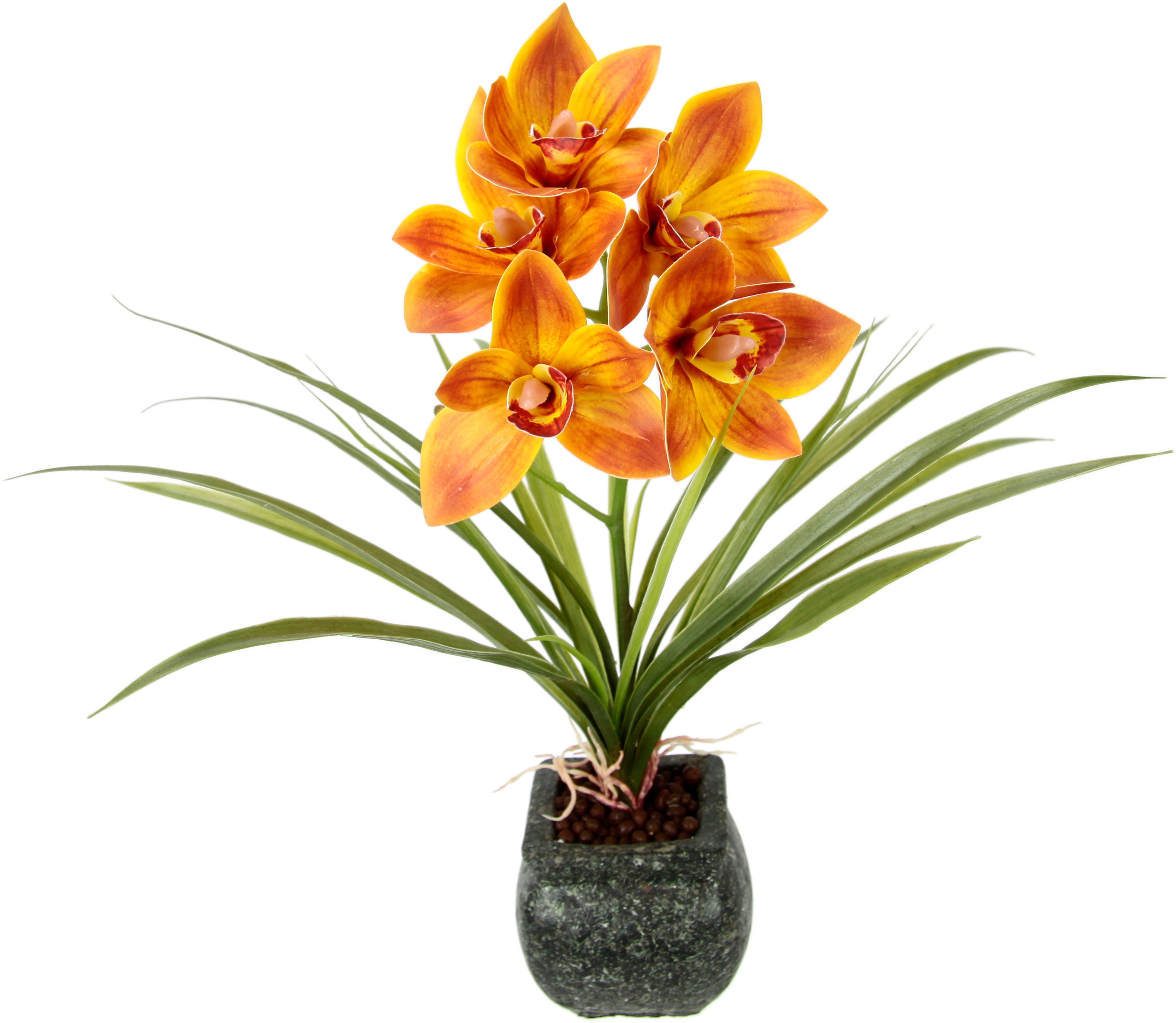 Kunstblume Orchidee, OTTO home, Höhe 40 cm, Mit Blätter im Topf aus Zement Künstliche Blume Cymbidium-Orchidee
