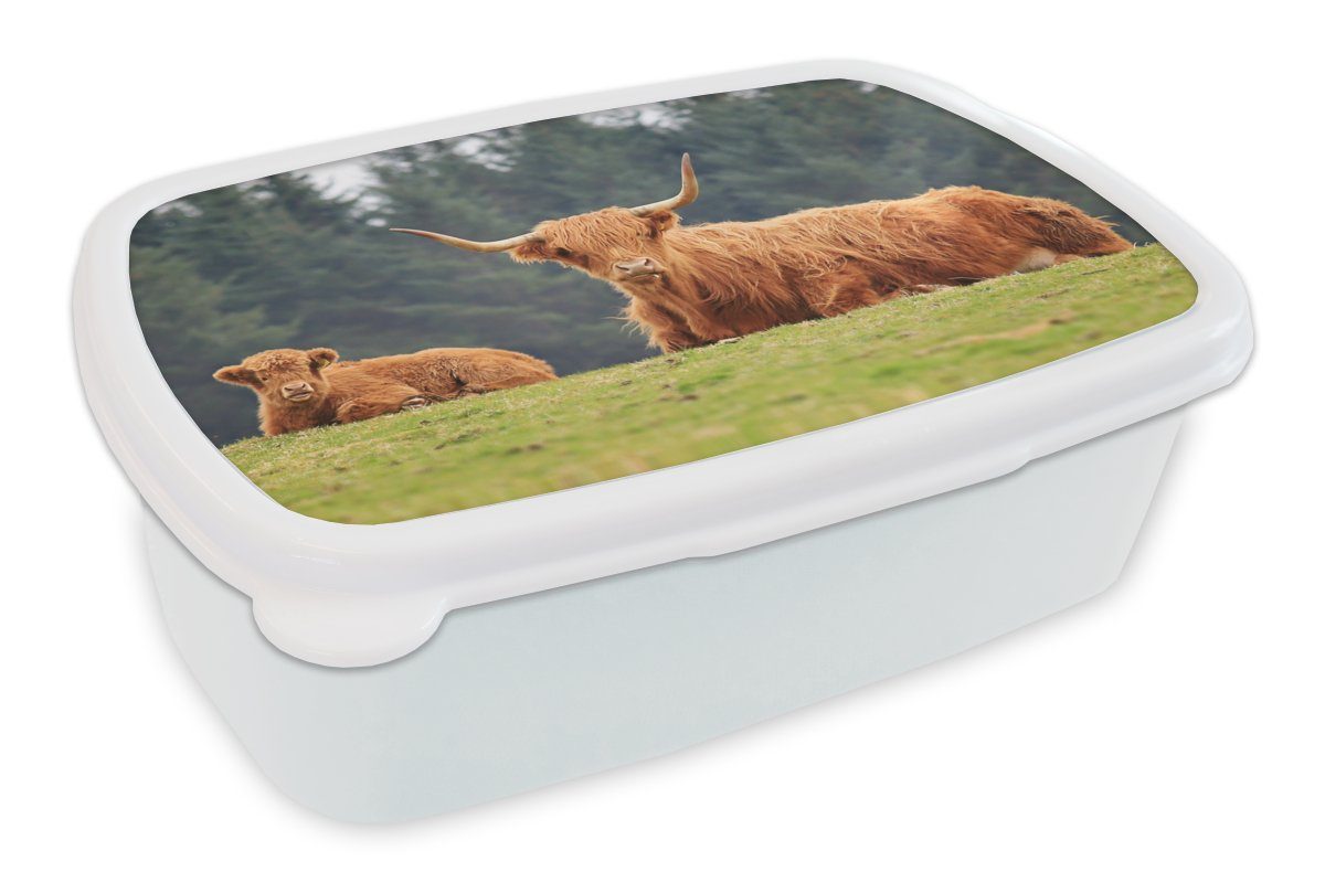 MuchoWow Lunchbox Schottischer Hochländer - Sonne - Gras, Kunststoff, (2-tlg), Brotbox für Kinder und Erwachsene, Brotdose, für Jungs und Mädchen weiß