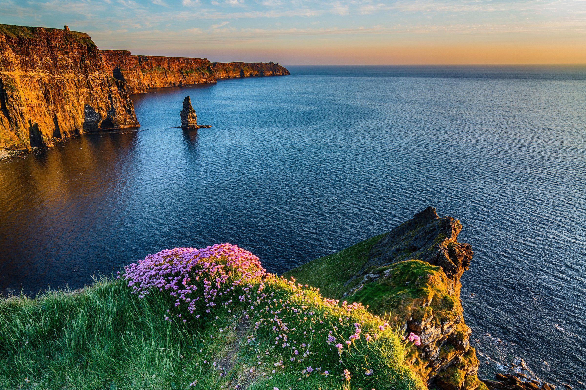 Papermoon Fototapete MOHER IRLAND-STRAND KLIPPEN KÜSTE BLUMEN MEER GEBIRGE