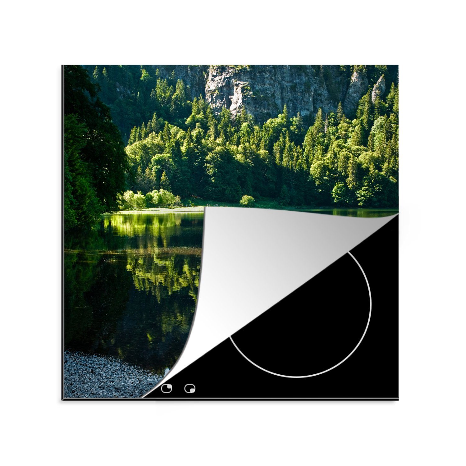 MuchoWow Herdblende-/Abdeckplatte Blick vom Ufer des Feldsees im deutschen Schwarzwald, Vinyl, (1 tlg), 78x78 cm, Ceranfeldabdeckung, Arbeitsplatte für küche