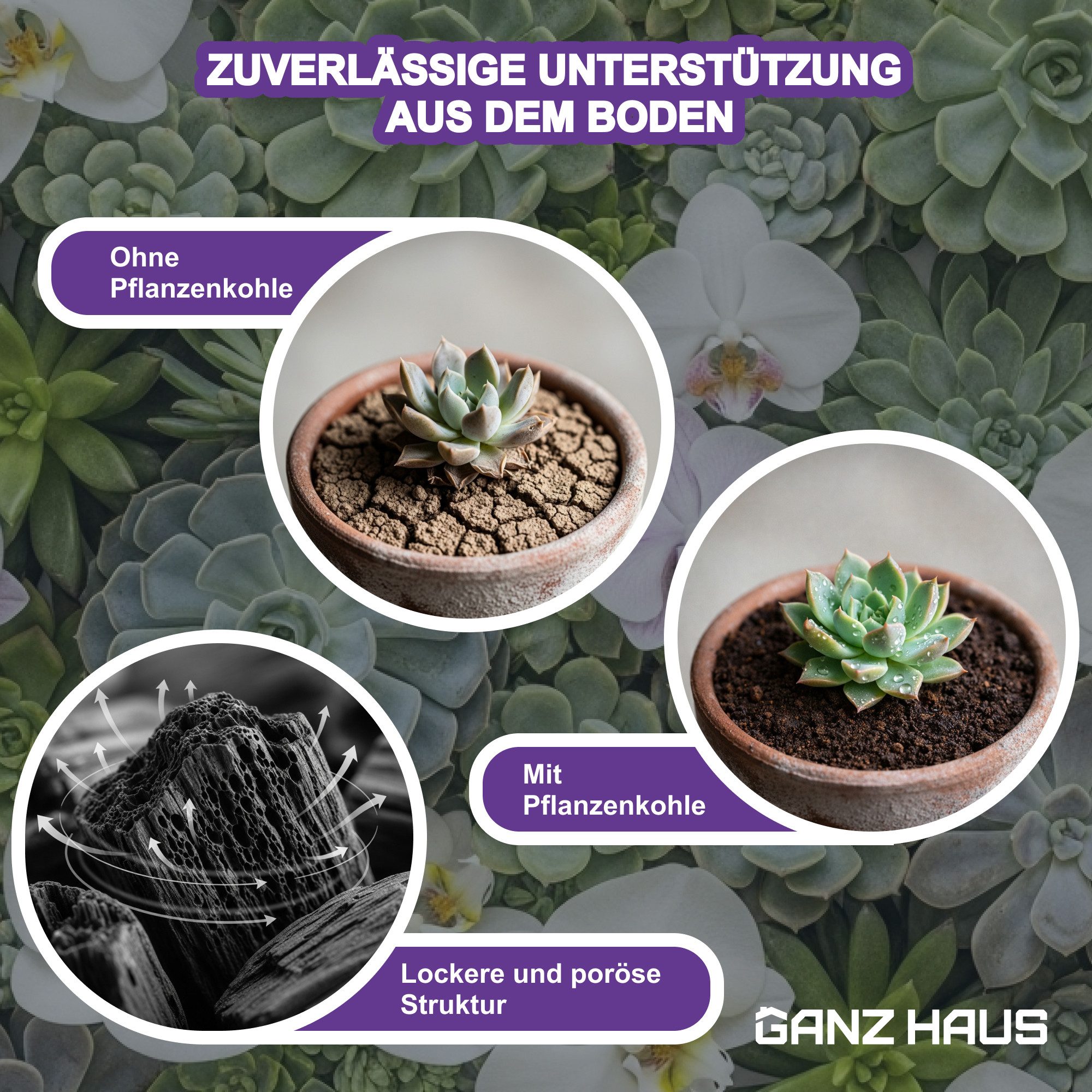 GanzHaus Pflanzgranulat Orchideensubstrat Bodenaktivator Charcoal Substrat Drainage Kohle, mit Pflanzenkohle Substrat, Aktivkohle für Orchideenerde Sukkulentenerde Bonsaierde Zimmerpflanzen