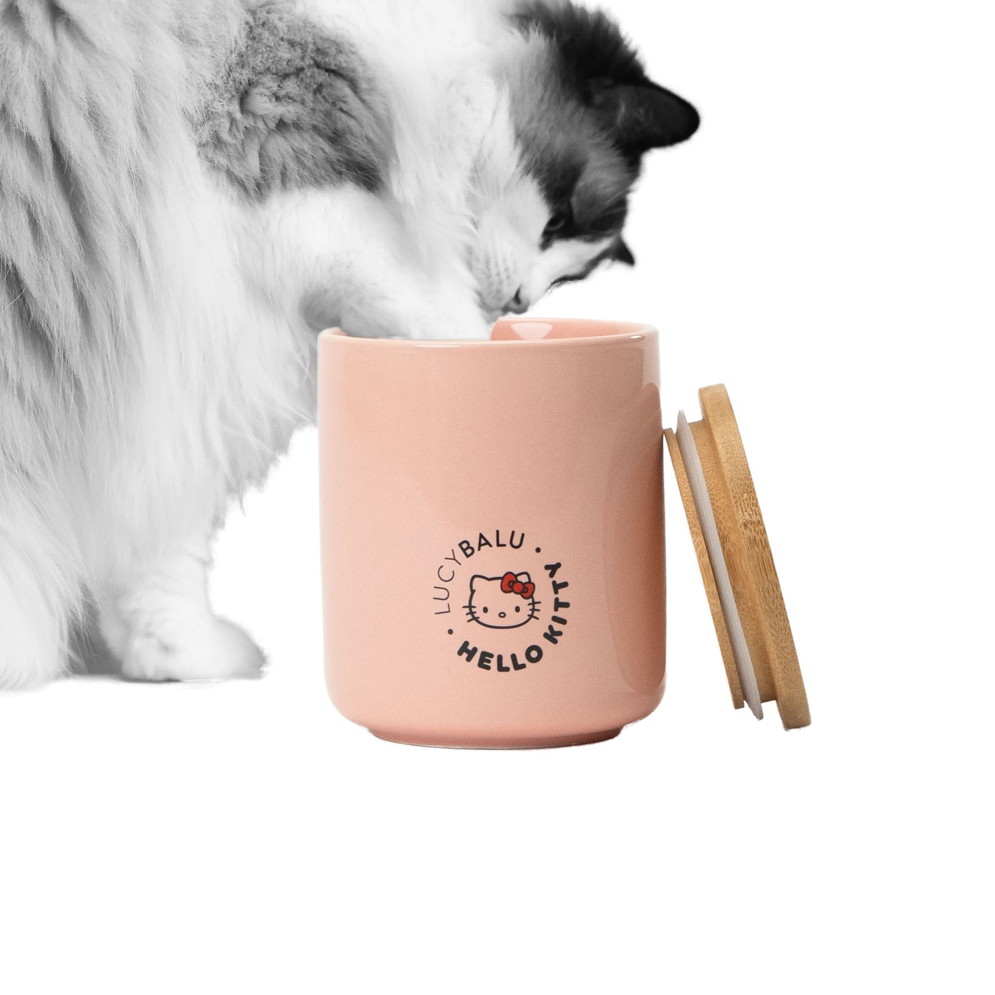 LucyBalu Futterbehälter SNACK BAR Katzenfutter Aufbewahrungsbox - Hello Kit günstig online kaufen