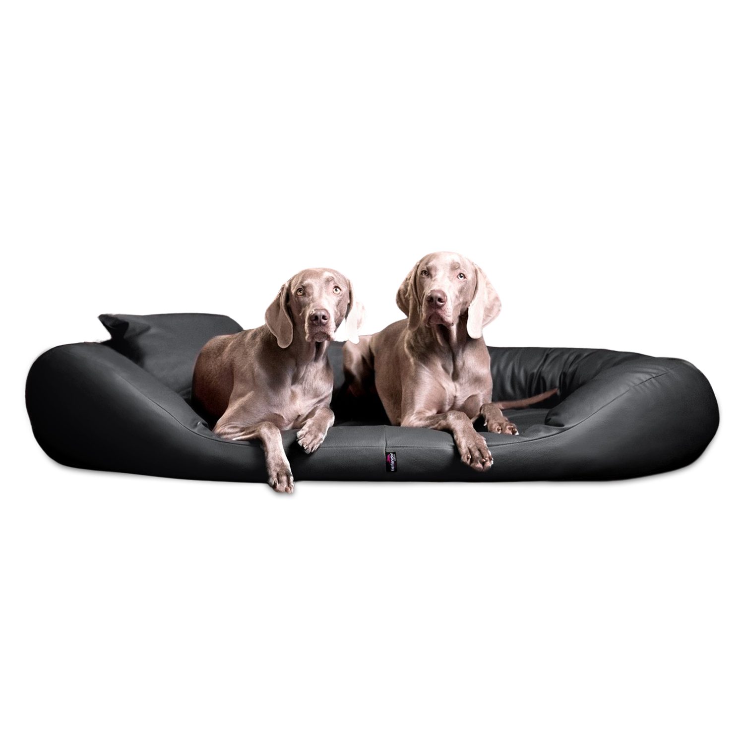 Tierbett SAMMY EASY CLEAN Orthopädisches Hundebett