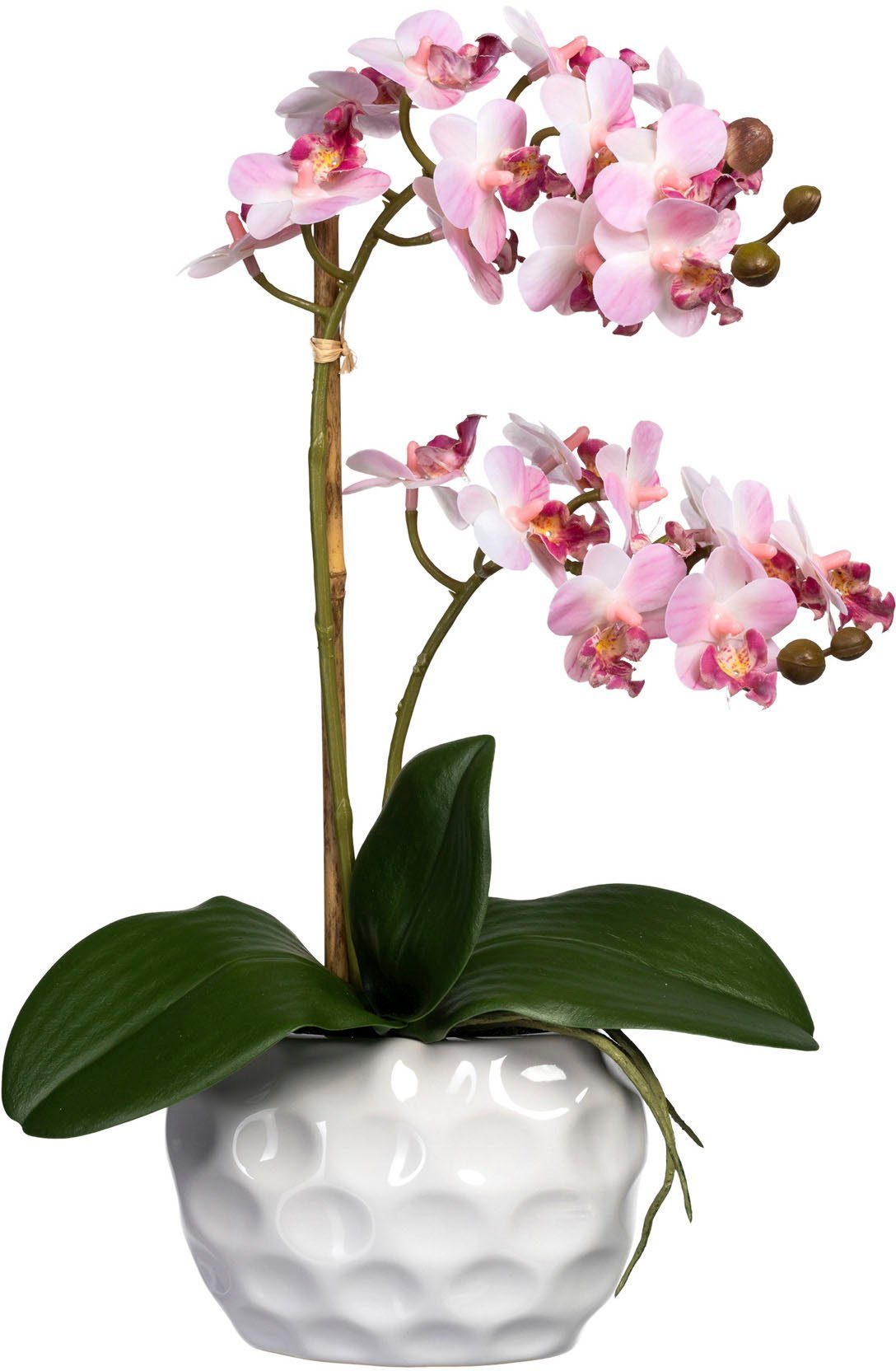 Kunstorchidee Phalaenopsis Orchidee Phalaenopsis, Creativ green, Höhe 40 cm,  in Keramikvase