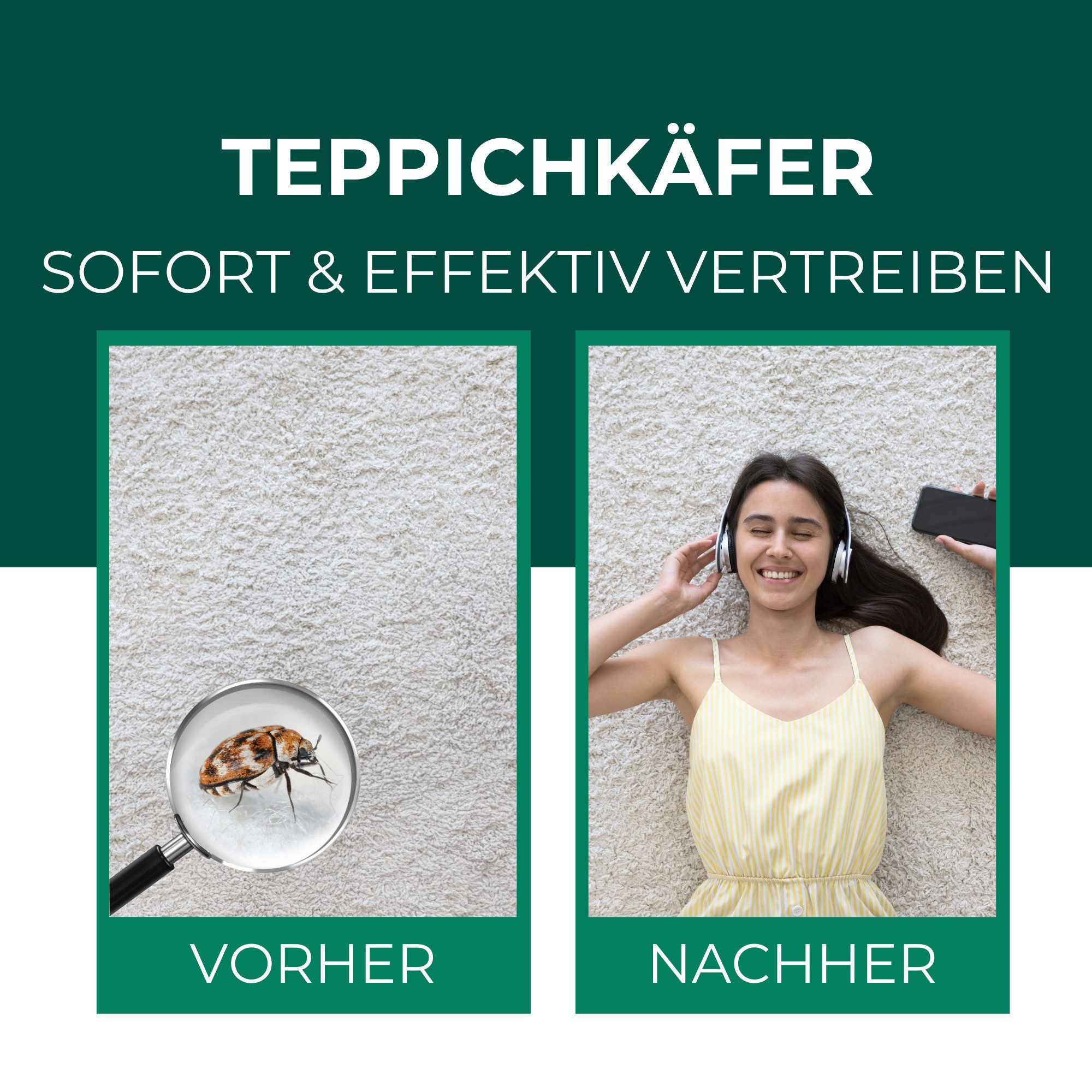 Silberkraft Insektenspray Teppichkäfer Spray- Teppichkäfer bekämpfen- Ungezieferspray, 500 ml, Effektive Abwehr von Teppichkäfern & Larven mit Repellent-Wirkung – Bild 2 von 5