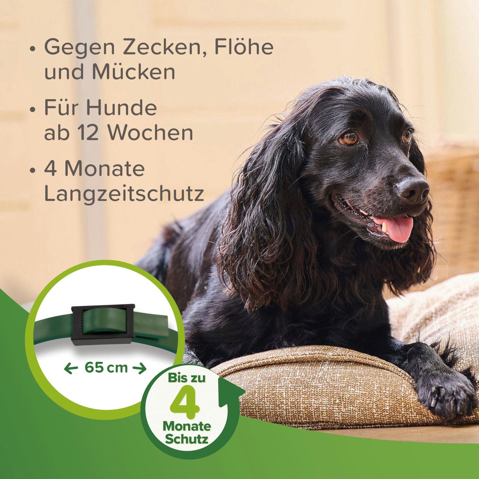 beaphar Zeckenhalsband Zecken- und Flohschutz Halsband für Hunde - 65 cm