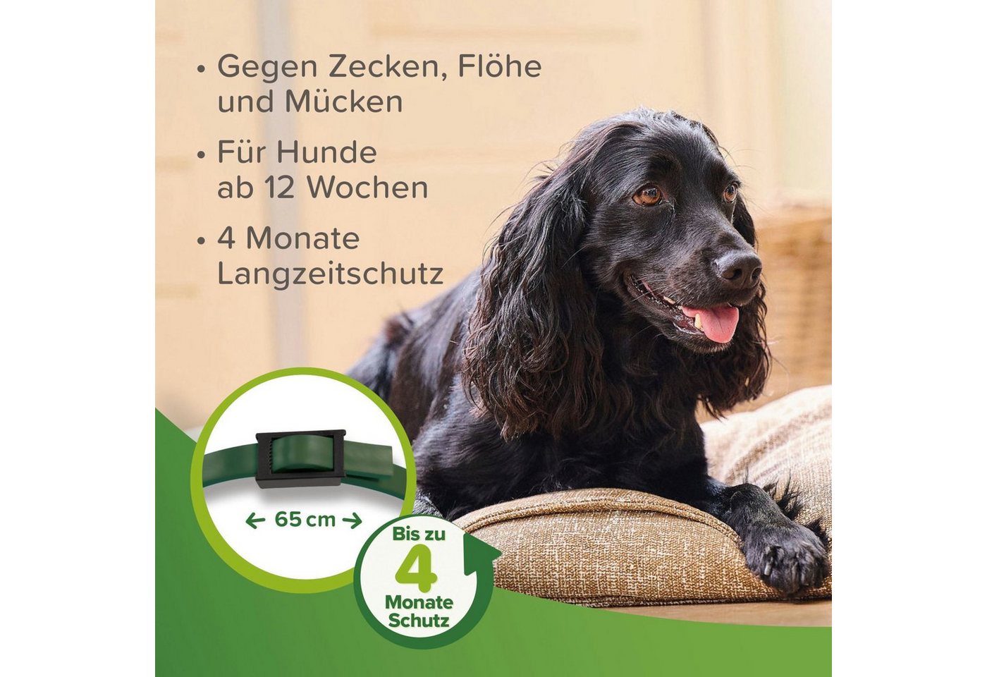 Thumbnail - beaphar Zeckenhalsband Beaphar - Zecken- und Flohschutz Halsband für Hunde - 65 cm