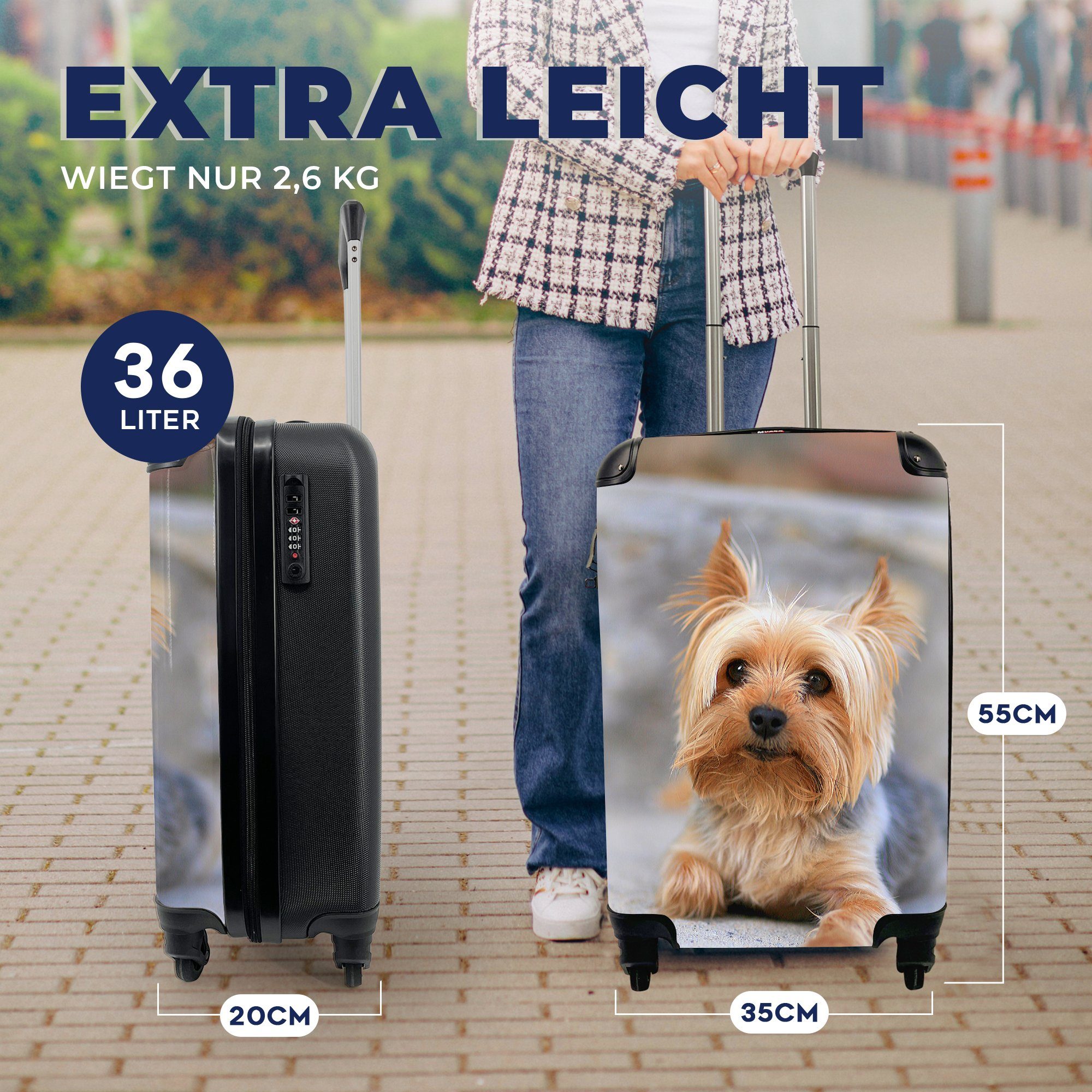 Trolley, liegt Handgepäckkoffer Reisetasche MuchoWow mit auf Teppich, 4 Rollen, Reisekoffer Yorkshire Terrier weichen Handgepäck für rollen, bequem dem Ferien,