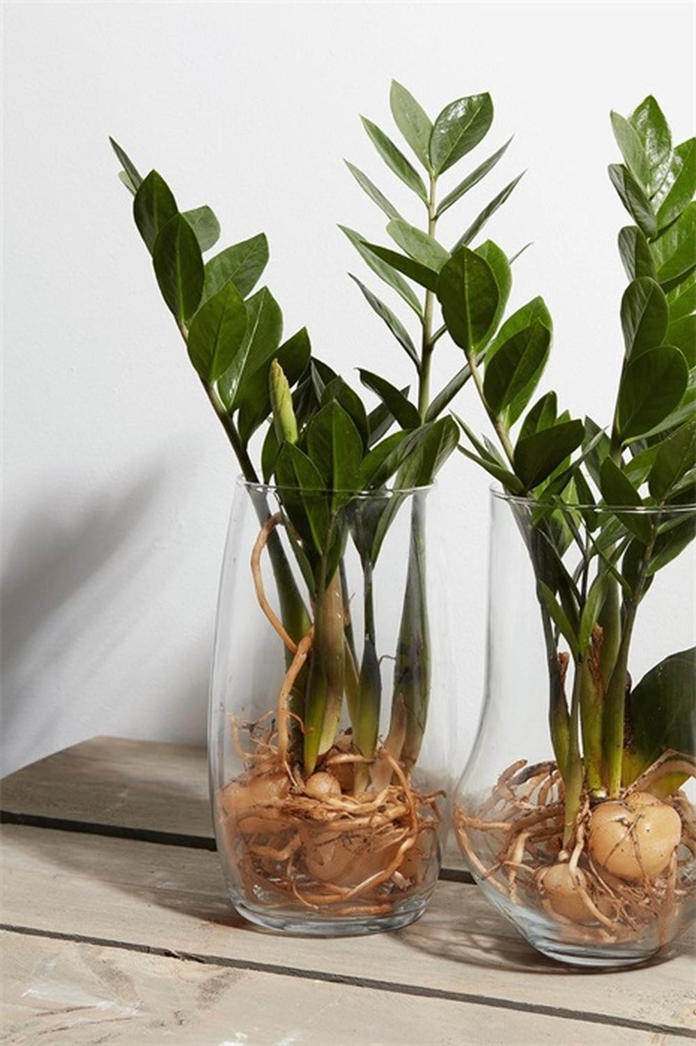 INNA-Glas Tischvase Runde Tischvase Glas Henry, klar, 25cm, Ø14cm – Bild 2 von 2