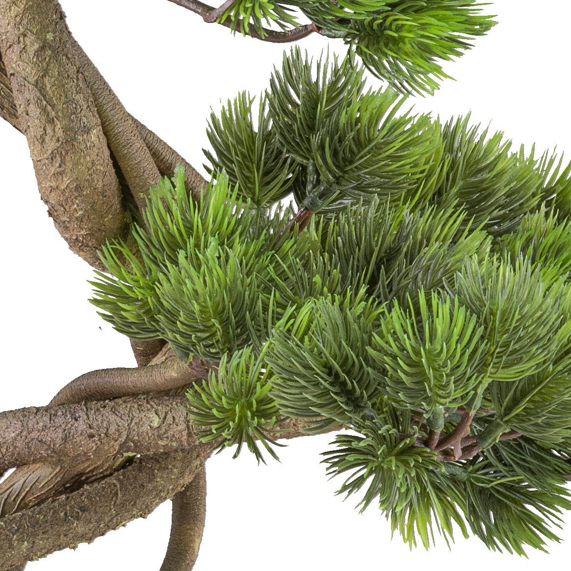 Kunstbonsai Bonsai Kiefer, Creativ green, Höhe 70 cm, mit elegantem Stamm günstig online kaufen