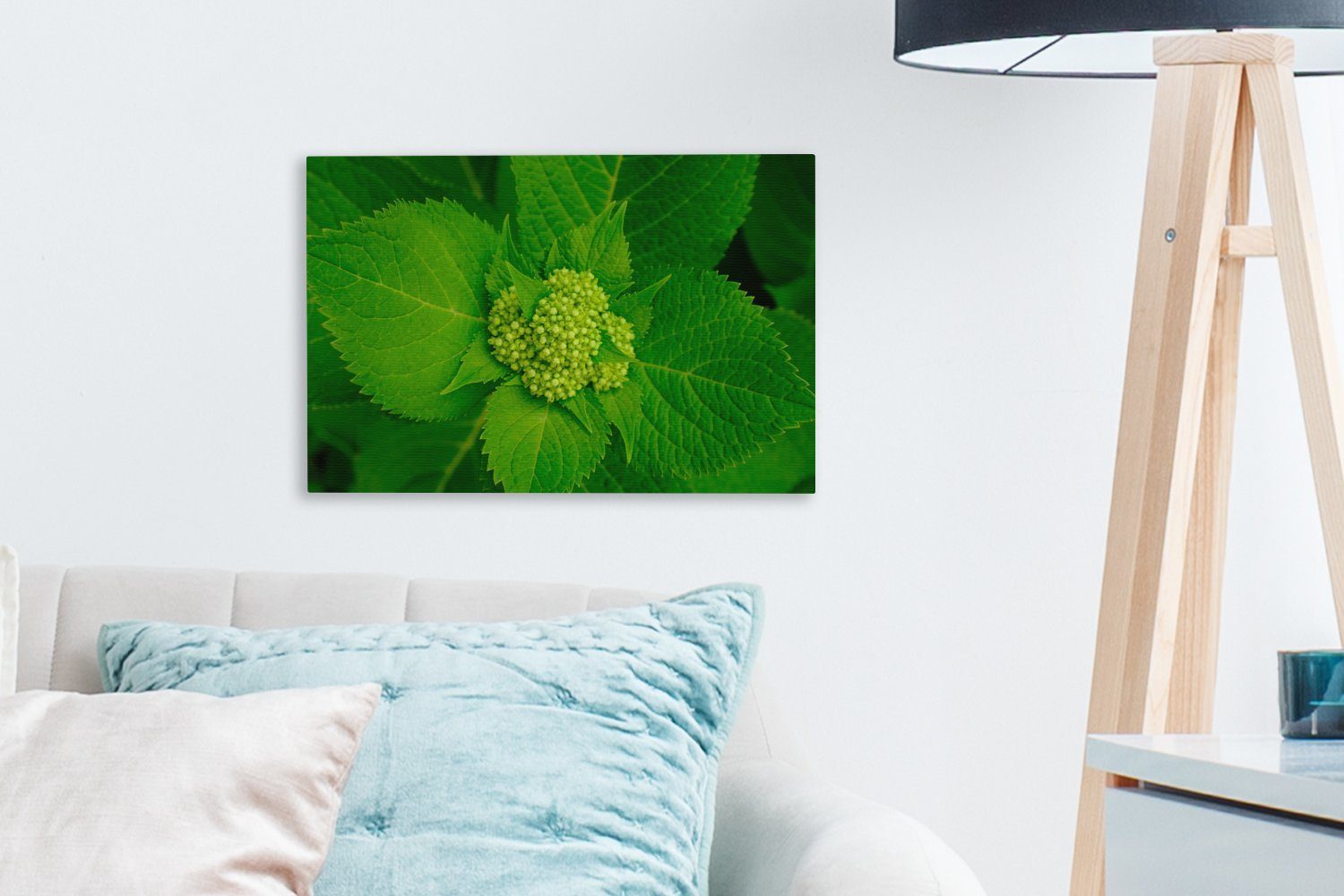 Wandbild botanischen Wanddeko, Leinwandbilder, OneMillionCanvasses® Foto Aufhängefertig, Hortensienpflanze, (1 Leinwandbild 30x20 St), der cm