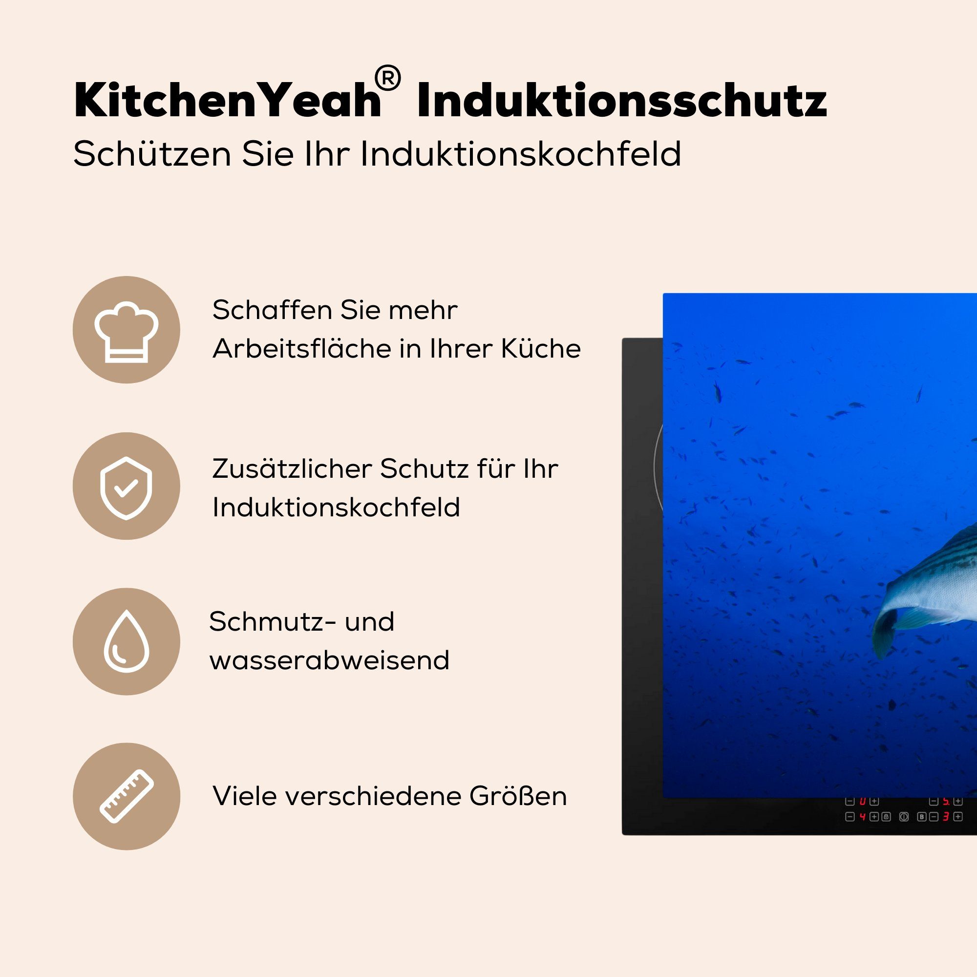 küche, Herdblende-/Abdeckplatte die 81x52 cm, (1 einem Schutz Induktionskochfeld Meer, Wolfsbarsch tlg), für Ceranfeldabdeckung schönen MuchoWow in Vinyl,