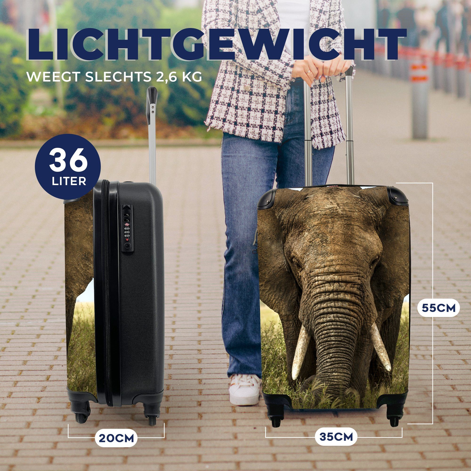 MuchoWow Handgepäckkoffer Elefant - Reisetasche mit - Natur Gras Rollen, 4 für Tiere Ferien, - Landschaft, rollen, Reisekoffer Trolley, Handgepäck 