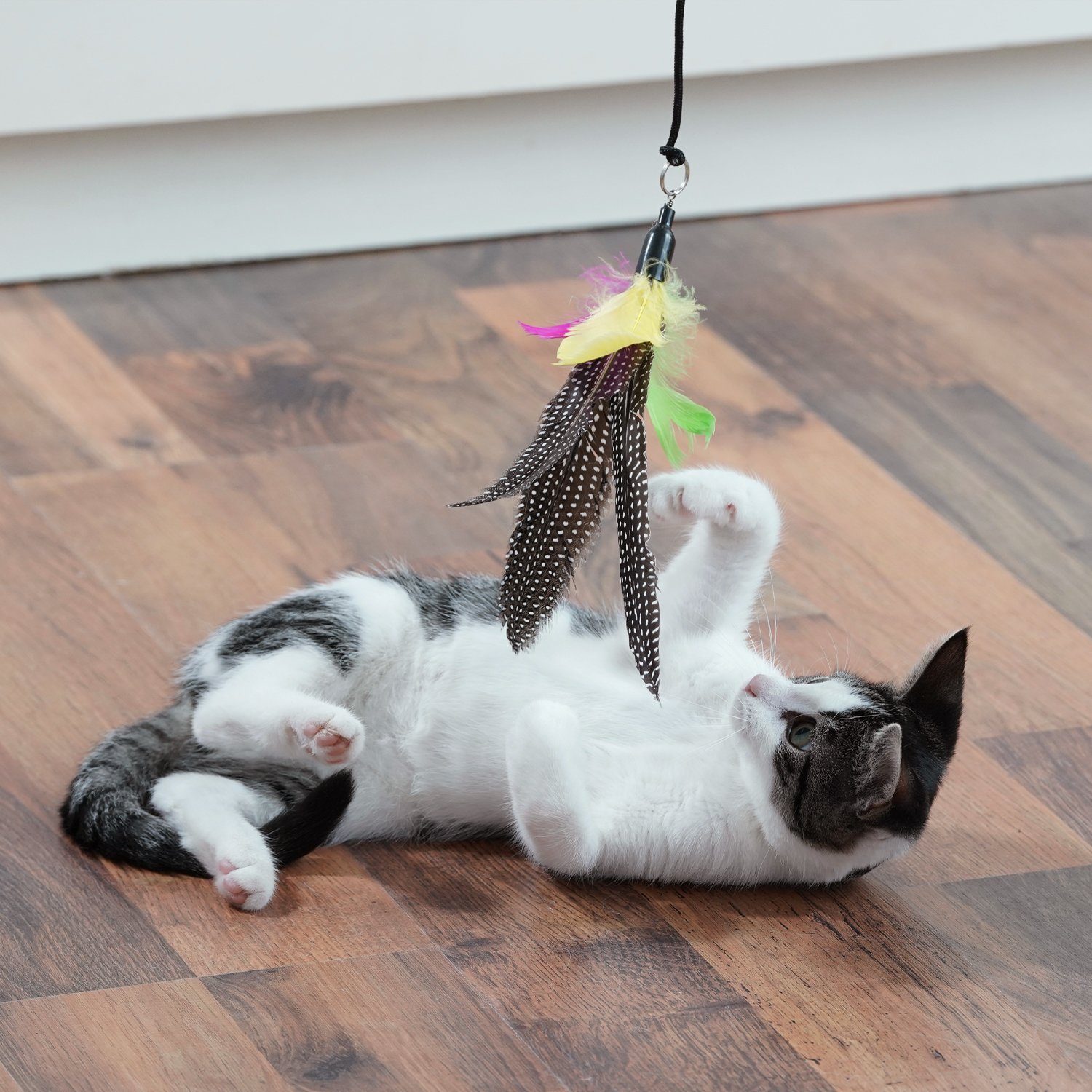 SCHLITZOHR Katzenangel Federanhänger (5 Stück), Ersatzfedern 5 Stk. Anhänger Katzenspielzeug Federanhänger Katzenangel
