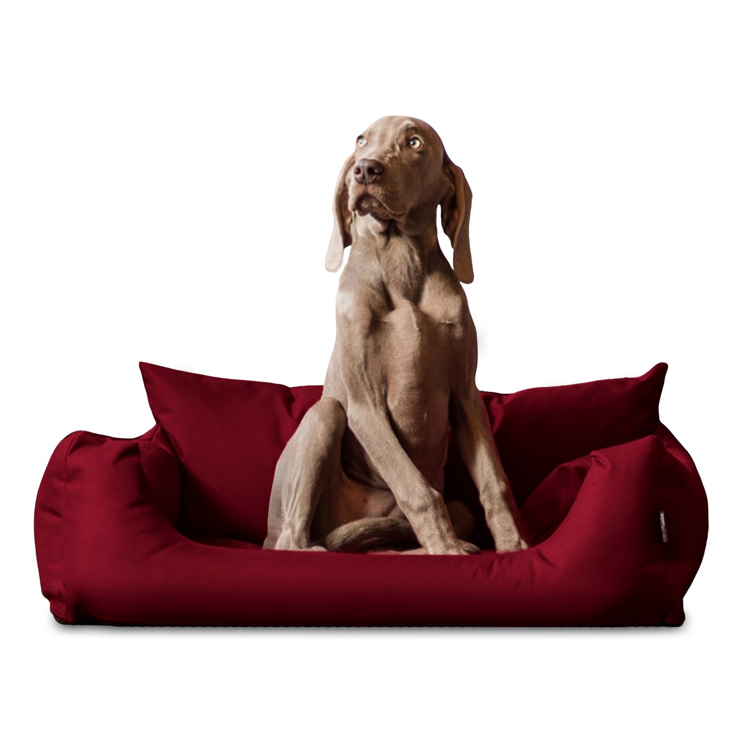 tierlando® Tierbett NEMO Hundebett Hundesofa S günstig online kaufen