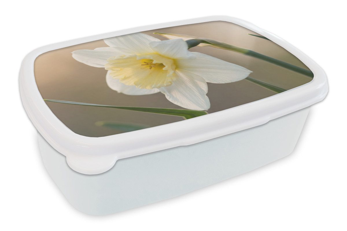 MuchoWow Lunchbox Narzisse - Blume - Minimalistisch, Kunststoff, (2-tlg), Brotdose Schule oder Arbeit, Brotbox für Kinder und Erwachsene