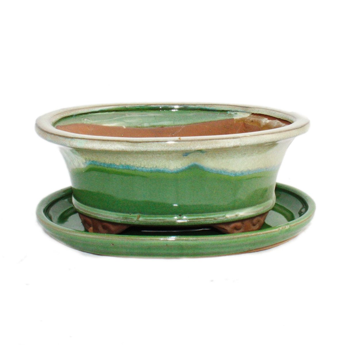 Exotenherz Pflanzschale Bonsai-Schale+Unterteller Gr. 8 Zoll günstig online kaufen