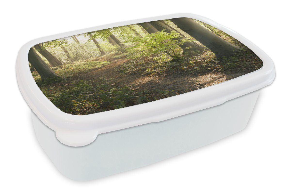 MuchoWow Lunchbox Wald - Bäume - Weg - Sonne - Pflanzen - Laub - Natur, Kunststoff, (2-tlg), Brotbox für Kinder und Erwachsene, Brotdose, für Jungs und Mädchen weiß