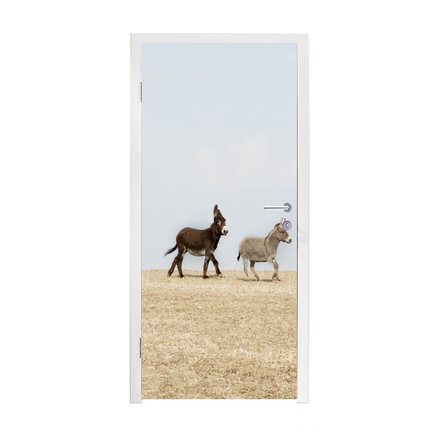 MuchoWow Türtapete Laufende Esel, Matt, bedruckt, (1 St), Fototapete für Tür, Türaufkleber, 75x205 cm
