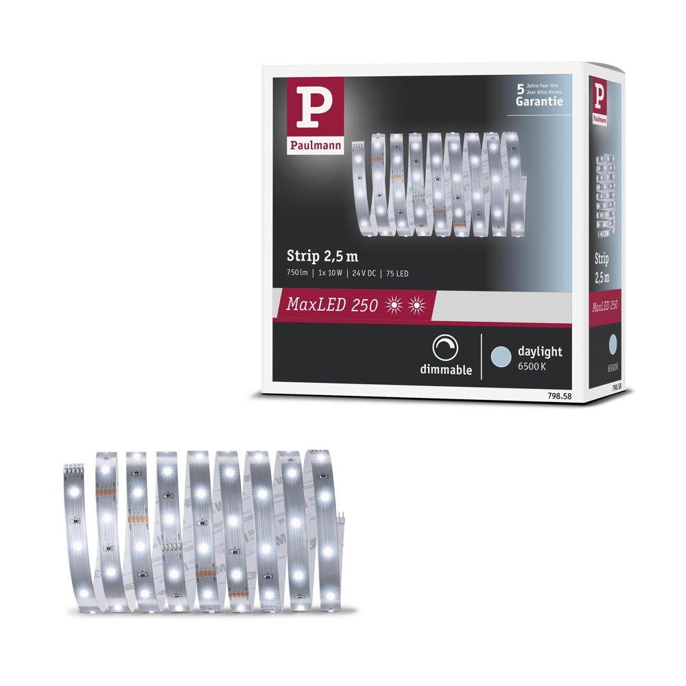 Silber Streifen 2500mm, Strip Erweiterung 1-flammig, Stripe LED 6500K LED LED in MaxLED 10W 750lm Paulmann