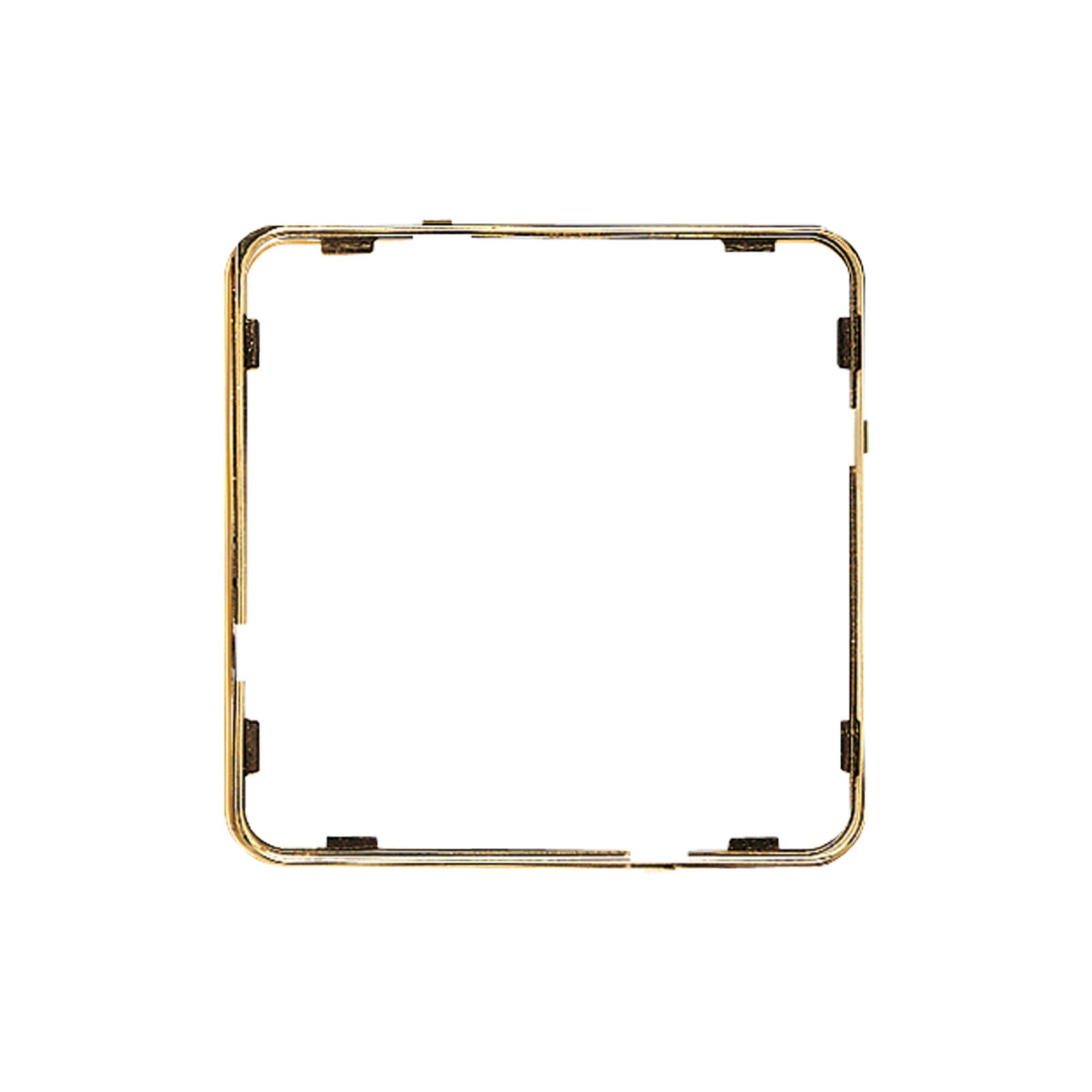 JUNG Schalter Jung Applikations-Rahmen gl.go CDP 81 GGO