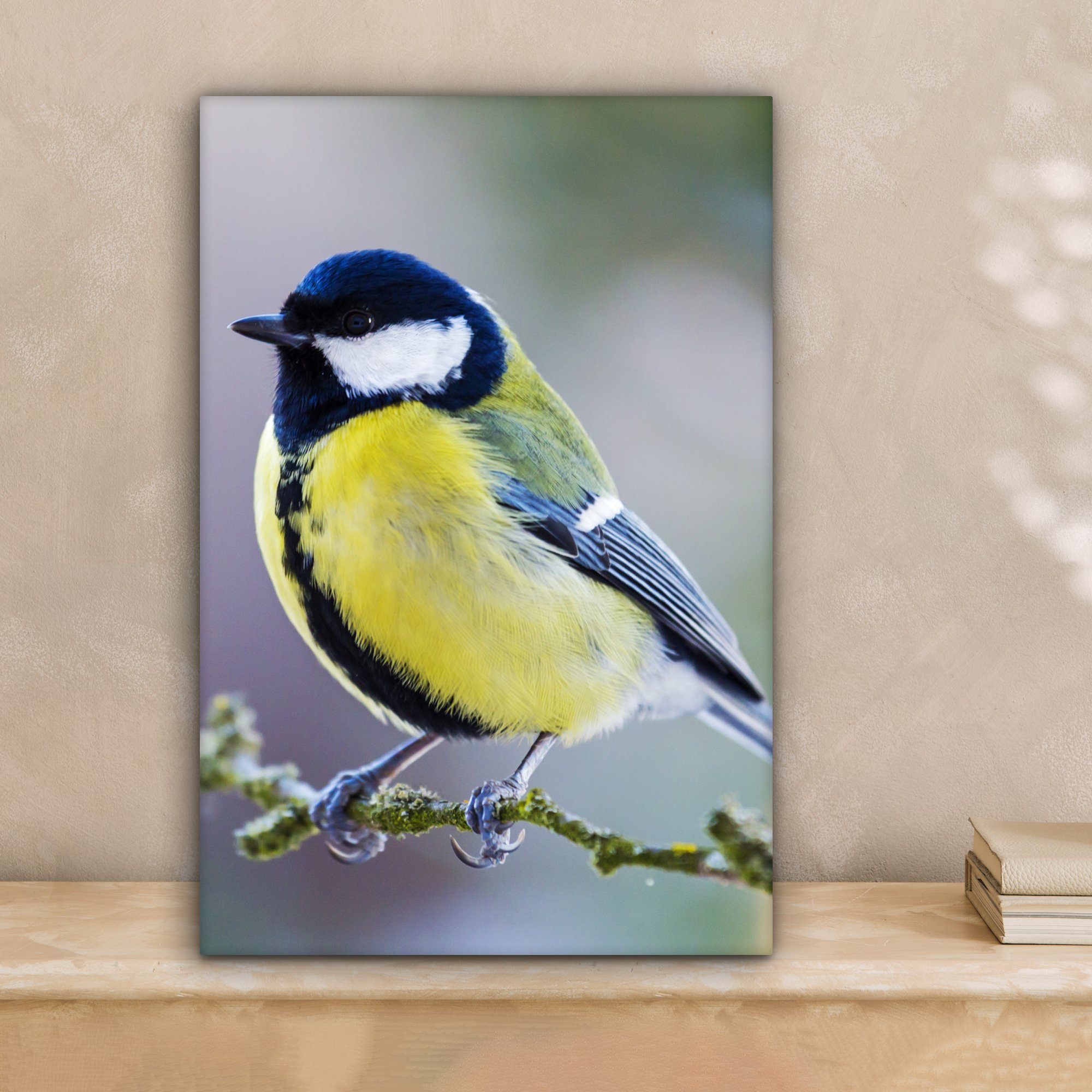 OneMillionCanvasses® Leinwandbild Kohlmeise - Vogel - günstig online kaufen