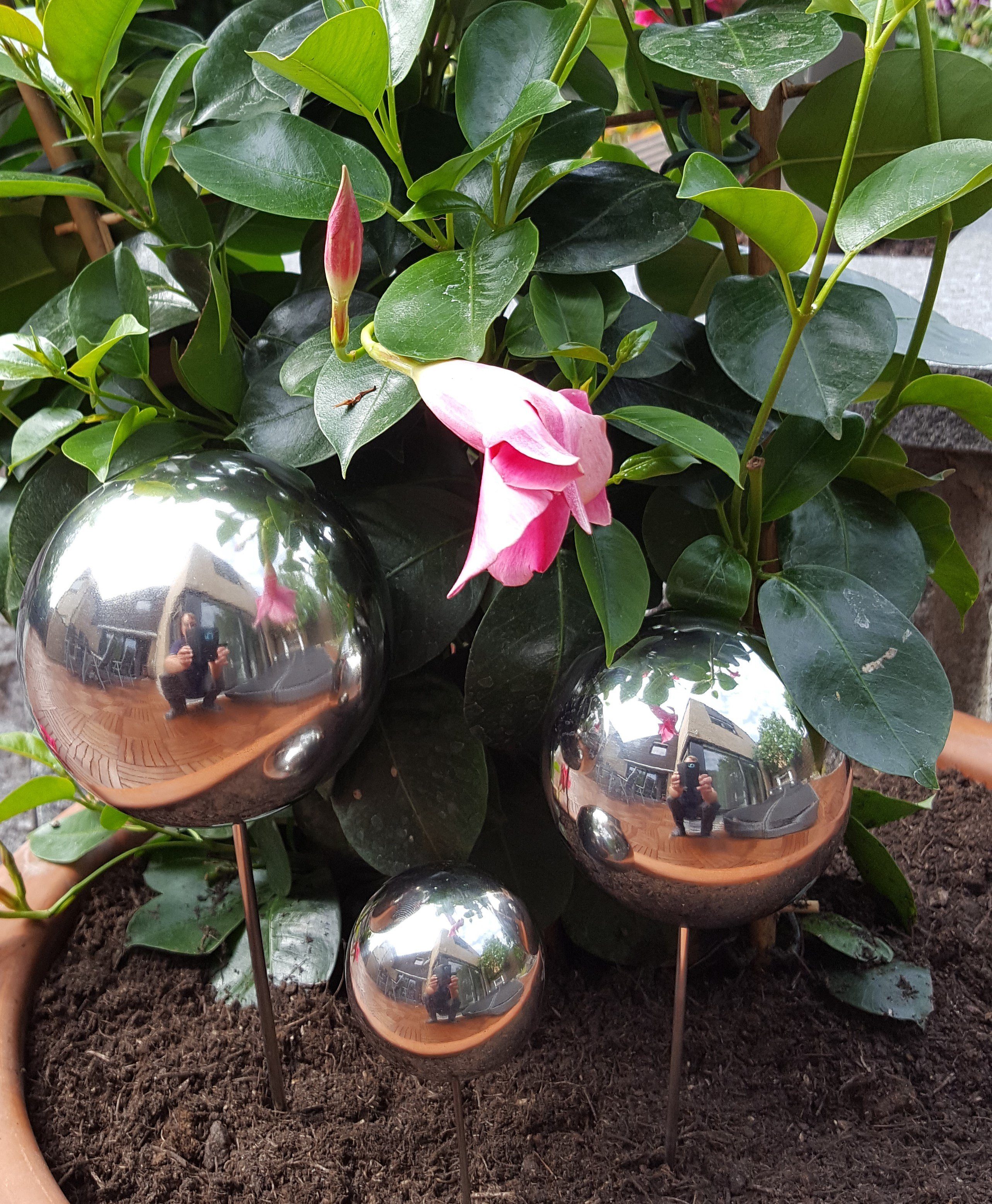 Jürgen Bocker - Gartenambiente Gartenstecker Pflanzstecker günstig online kaufen