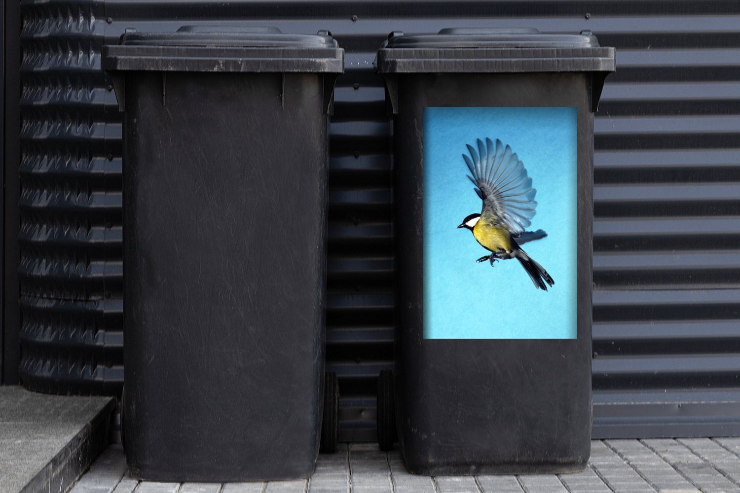 Abfalbehälter St), Container, Kohlmeise (1 vor Eine Sticker, Mülltonne, blauem MuchoWow Mülleimer-aufkleber, Wandsticker Hintergrund