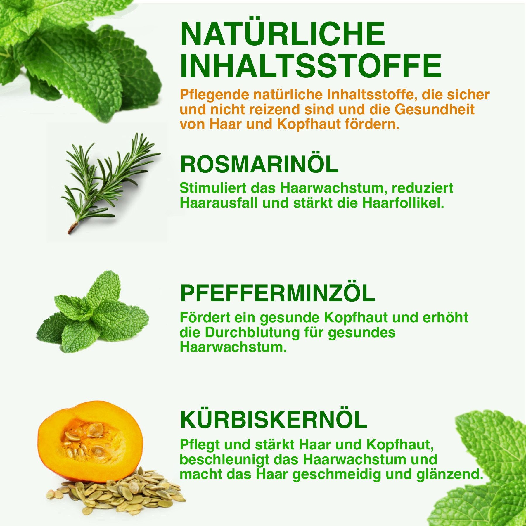 ALIVER Haaröl 3-in-1 Rosmarinöl Ätherisches Pfefferminzöl Kürbiskernöl, 1-tlg., 3-in-1-Rosmarinöl mit Pfefferminzöl und Kürbiskernöl 60 ml