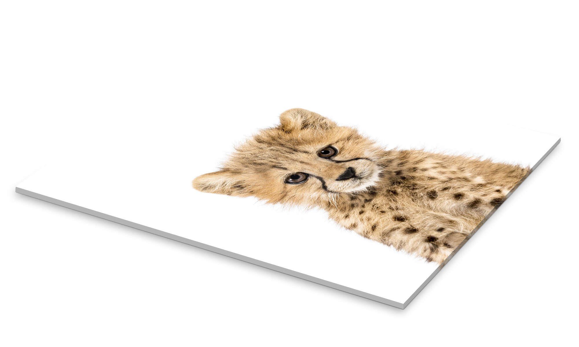 Posterlounge Wandbild Babygepard, Sisi And Seb, erhältlich als Poster, Leinwandbild, Wandsticker oder Acrylglasbild