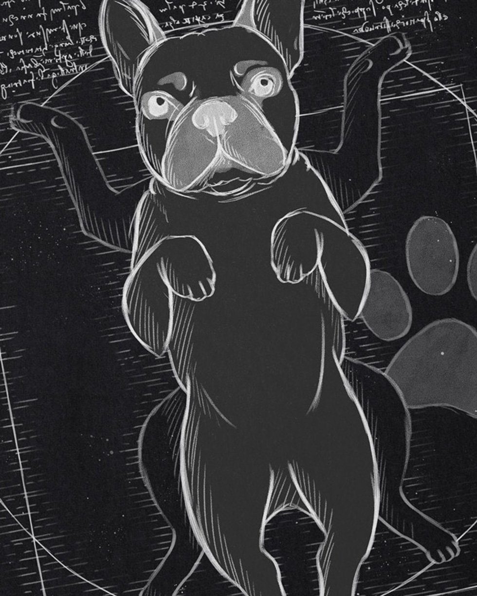 style3 T-Shirt Vitruvianischer Frenchie hund französische bulldogge günstig online kaufen