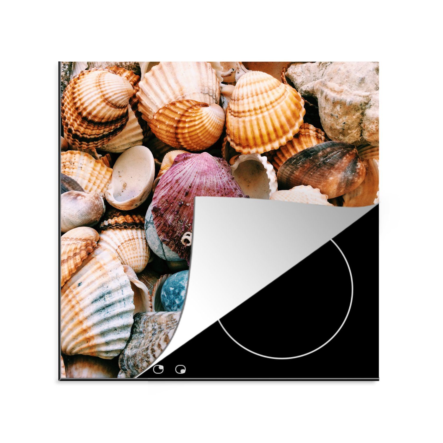 MuchoWow Herdblende-/Abdeckplatte Muscheln - Strand - Griechenland, Vinyl, (1 tlg), 78x78 cm, Ceranfeldabdeckung, Arbeitsplatte für küche