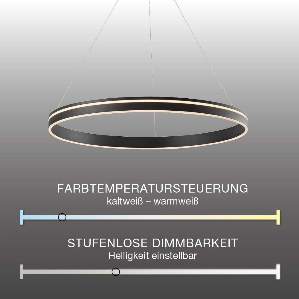 Paul Neuhaus Smarte LED-Leuchte Ring, Alexa Home, Q-Vito, Memoryfunktion, CCT Pendelleuchte anthrazit Fernbedienung, Pendellampe LED Leuchtmittel, dimmbar, RGB+W-Farbregelung, mit Smart Dimmfunktion