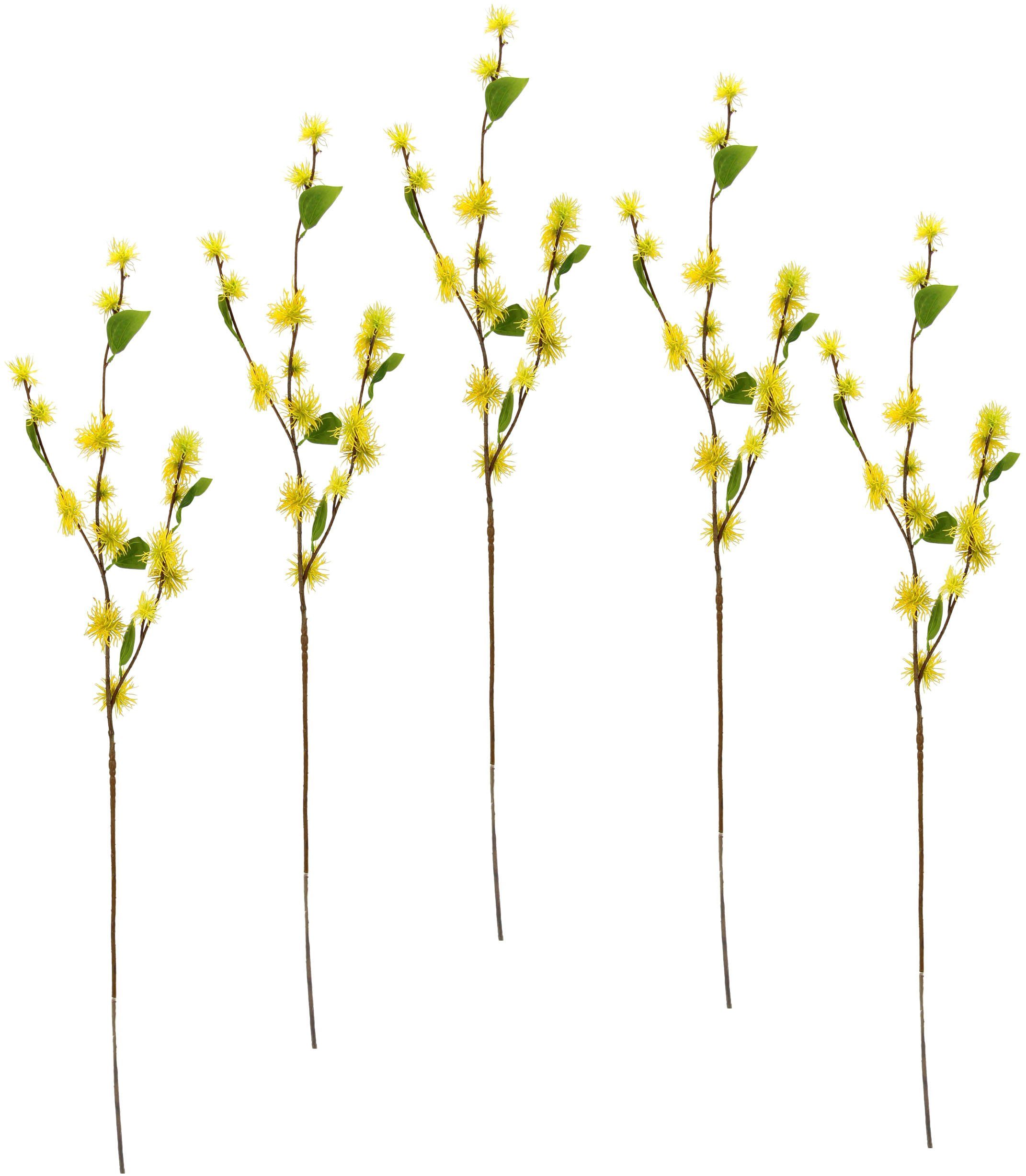 Kunstblume Zaubernuss, I.GE.A., Höhe 100 cm, günstig online kaufen