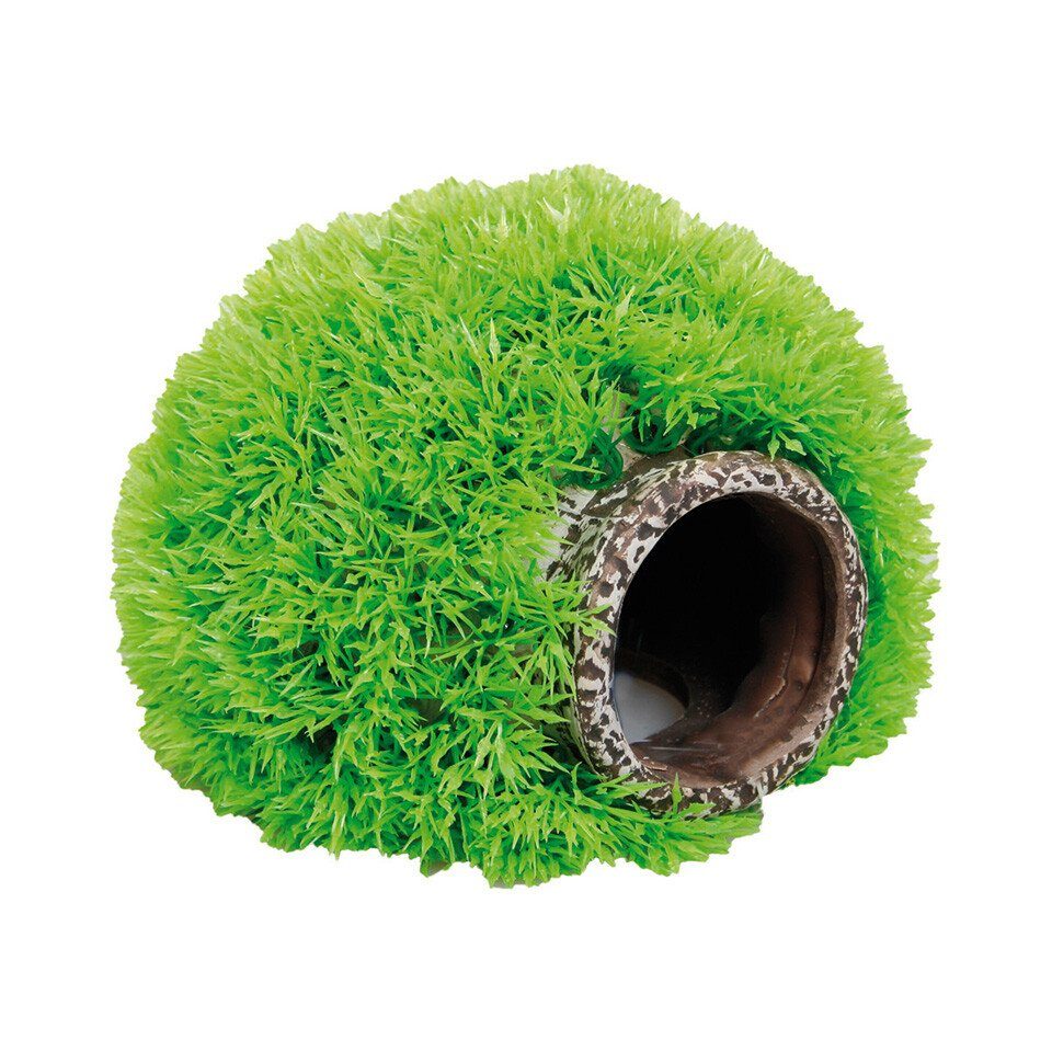 Aquariendeko Aquariumpflanze Moosball mit Höhle